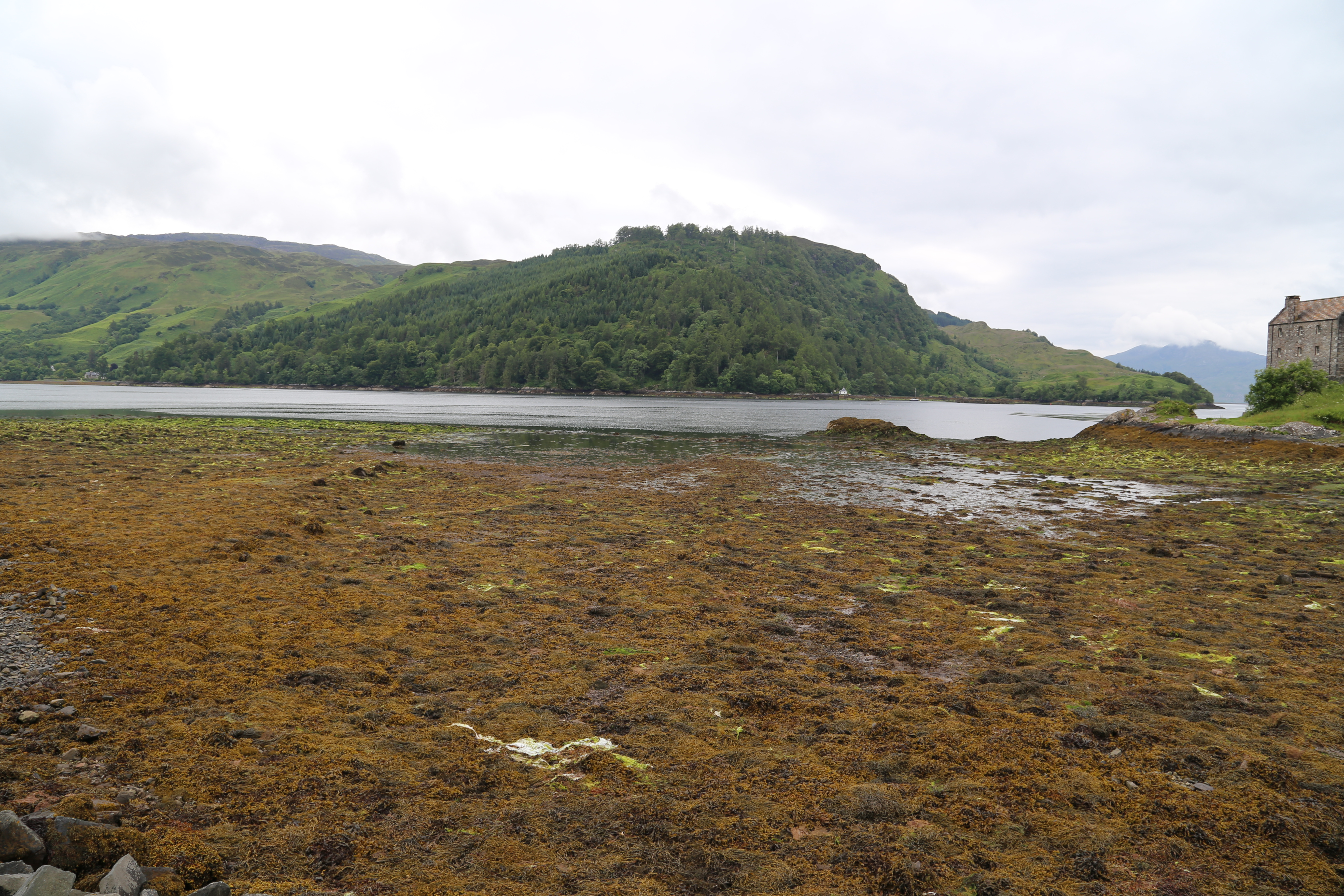 2014 Europe Trip Day 27 - Scotland (Muesli, Hogwarts Express Train (Jacobite Steam Train, Glenfinnan Viaduct), Fort William, Ben Nevis, Highland Bagpiper, Eilean Donan Castle, Isle of Skye, Portree, Old Man of Storr, Kilt Rock, Uig, Quiraing, Peat Fields)