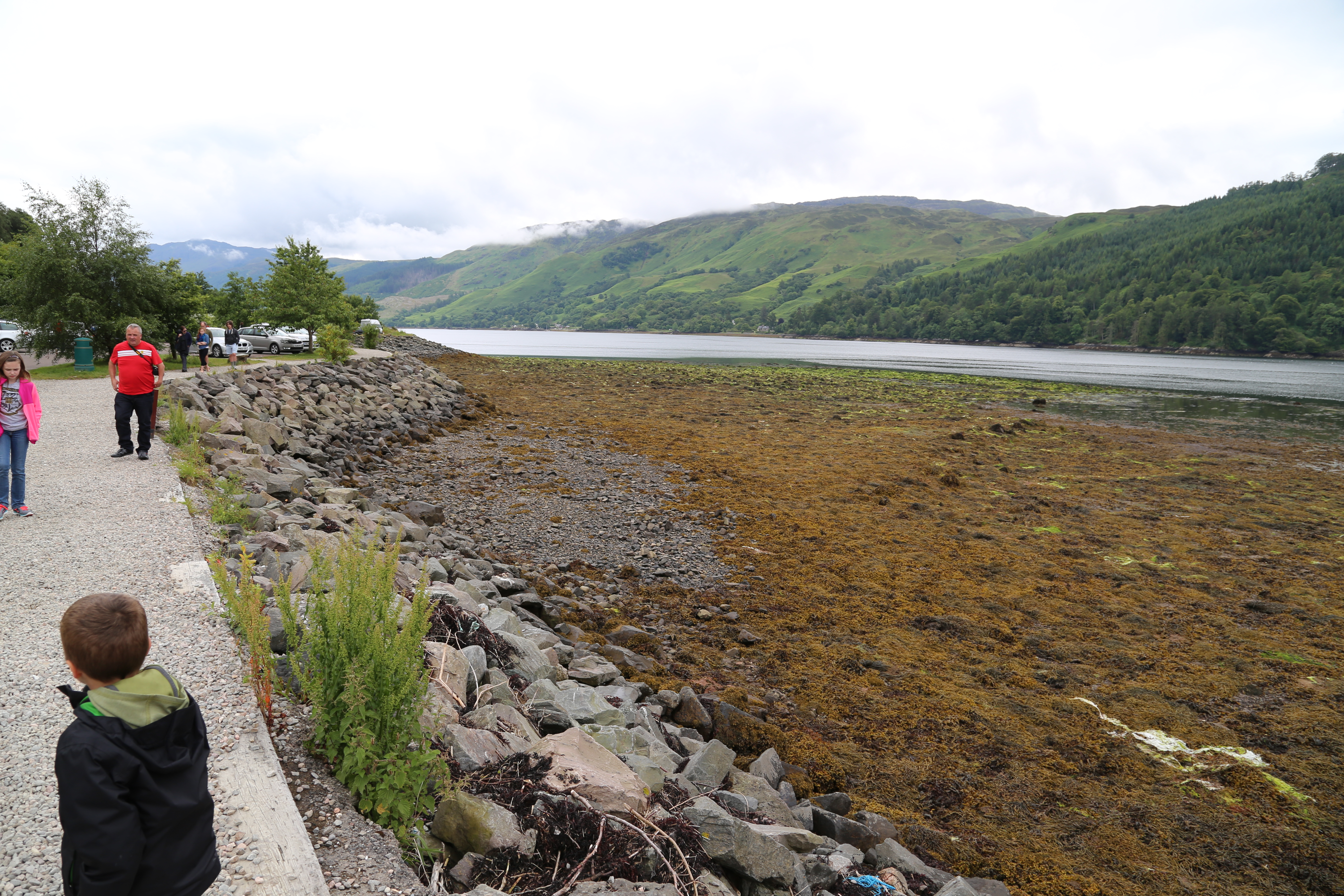 2014 Europe Trip Day 27 - Scotland (Muesli, Hogwarts Express Train (Jacobite Steam Train, Glenfinnan Viaduct), Fort William, Ben Nevis, Highland Bagpiper, Eilean Donan Castle, Isle of Skye, Portree, Old Man of Storr, Kilt Rock, Uig, Quiraing, Peat Fields)