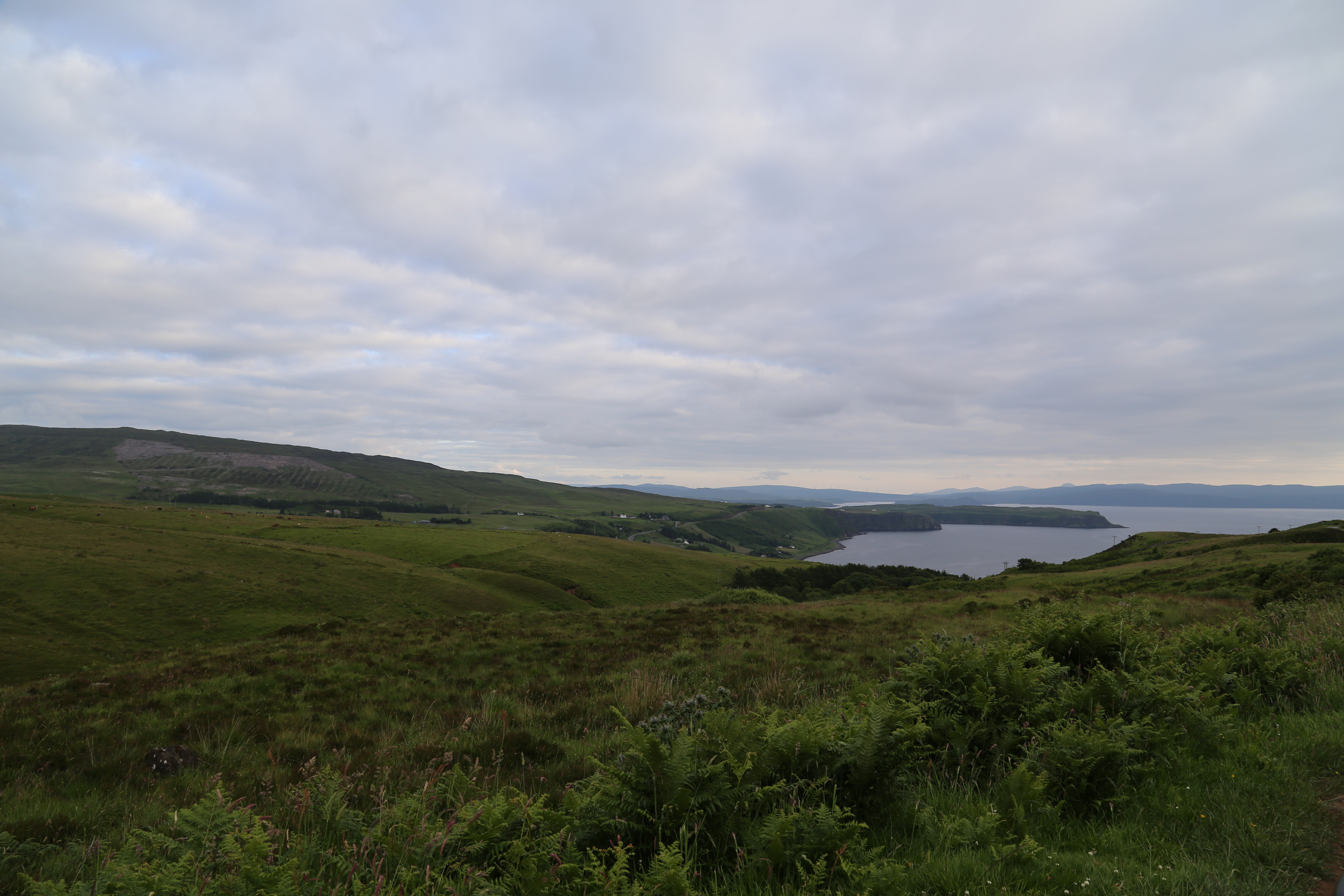 2014 Europe Trip Day 27 - Scotland (Muesli, Hogwarts Express Train (Jacobite Steam Train, Glenfinnan Viaduct), Fort William, Ben Nevis, Highland Bagpiper, Eilean Donan Castle, Isle of Skye, Portree, Old Man of Storr, Kilt Rock, Uig, Quiraing, Peat Fields)