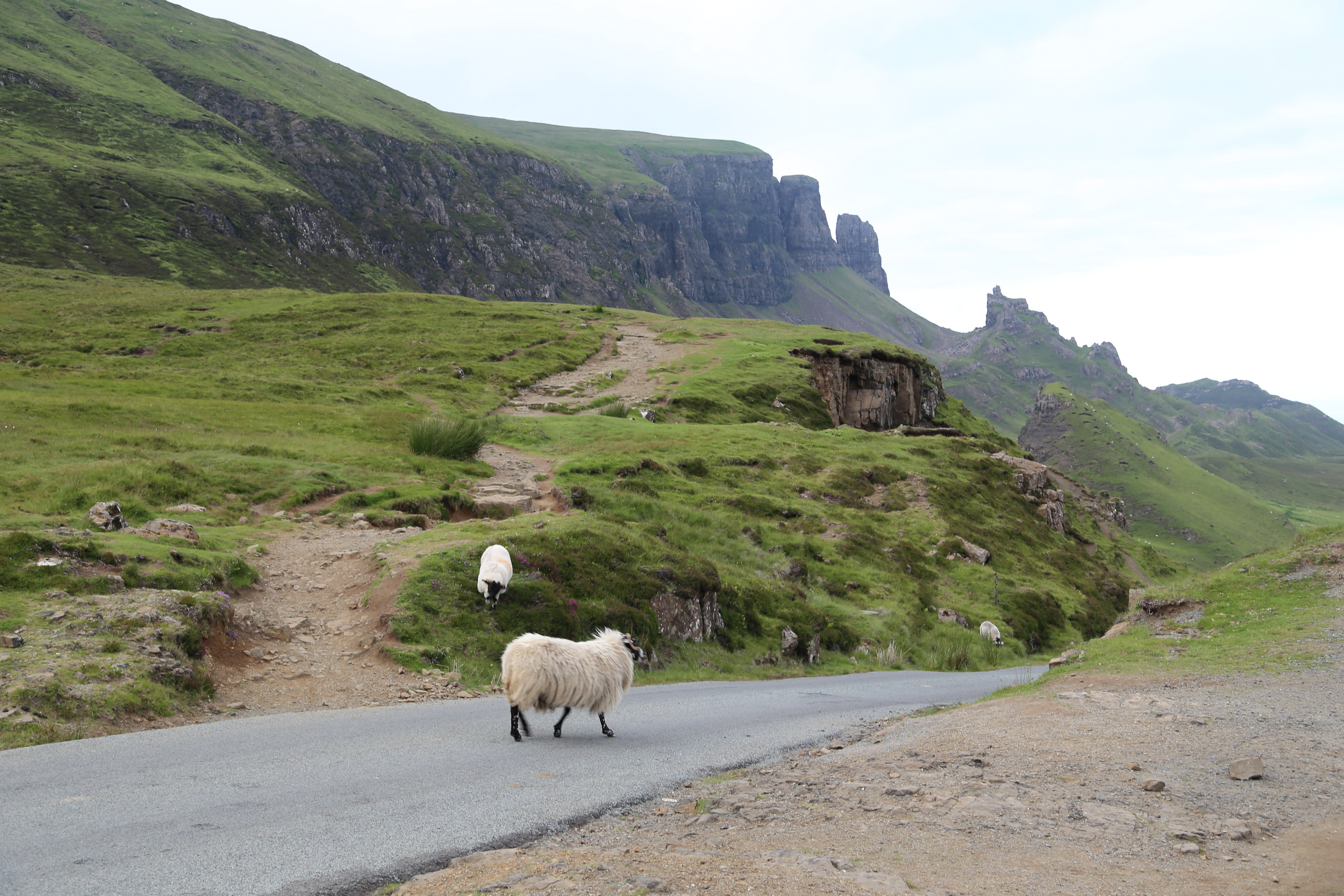 2014 Europe Trip Day 27 - Scotland (Muesli, Hogwarts Express Train (Jacobite Steam Train, Glenfinnan Viaduct), Fort William, Ben Nevis, Highland Bagpiper, Eilean Donan Castle, Isle of Skye, Portree, Old Man of Storr, Kilt Rock, Uig, Quiraing, Peat Fields)