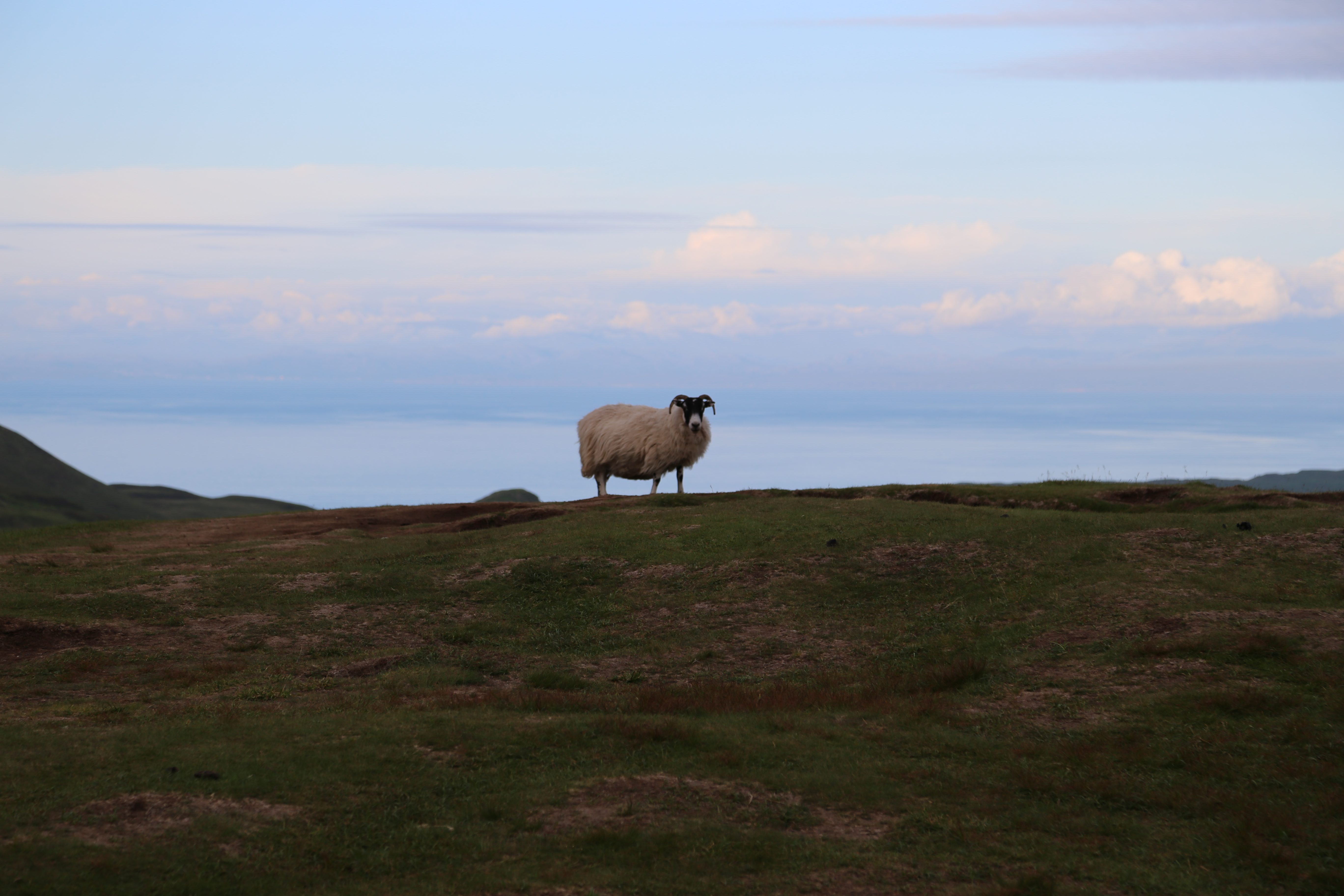 2014 Europe Trip Day 27 - Scotland (Muesli, Hogwarts Express Train (Jacobite Steam Train, Glenfinnan Viaduct), Fort William, Ben Nevis, Highland Bagpiper, Eilean Donan Castle, Isle of Skye, Portree, Old Man of Storr, Kilt Rock, Uig, Quiraing, Peat Fields)