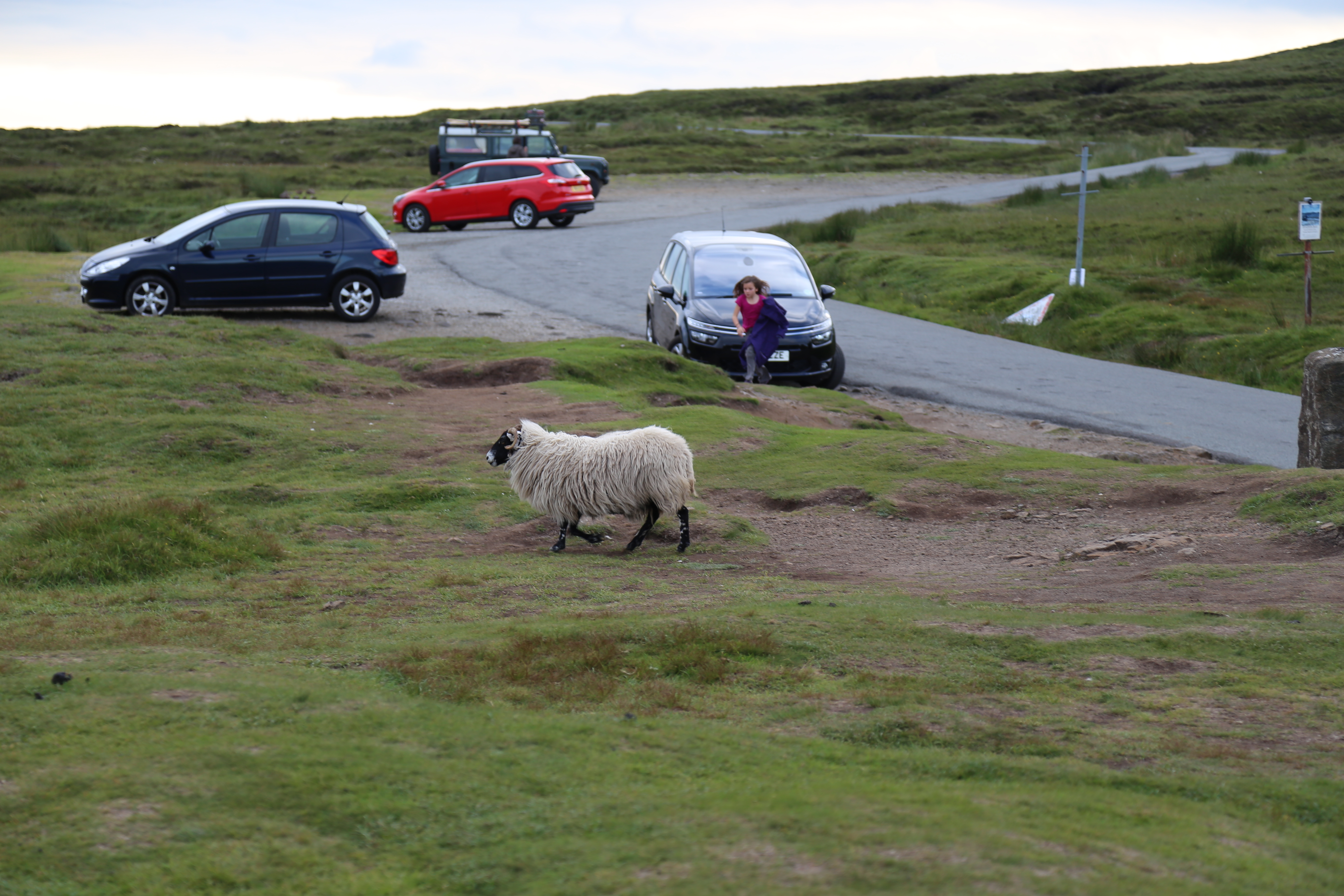 2014 Europe Trip Day 27 - Scotland (Muesli, Hogwarts Express Train (Jacobite Steam Train, Glenfinnan Viaduct), Fort William, Ben Nevis, Highland Bagpiper, Eilean Donan Castle, Isle of Skye, Portree, Old Man of Storr, Kilt Rock, Uig, Quiraing, Peat Fields)