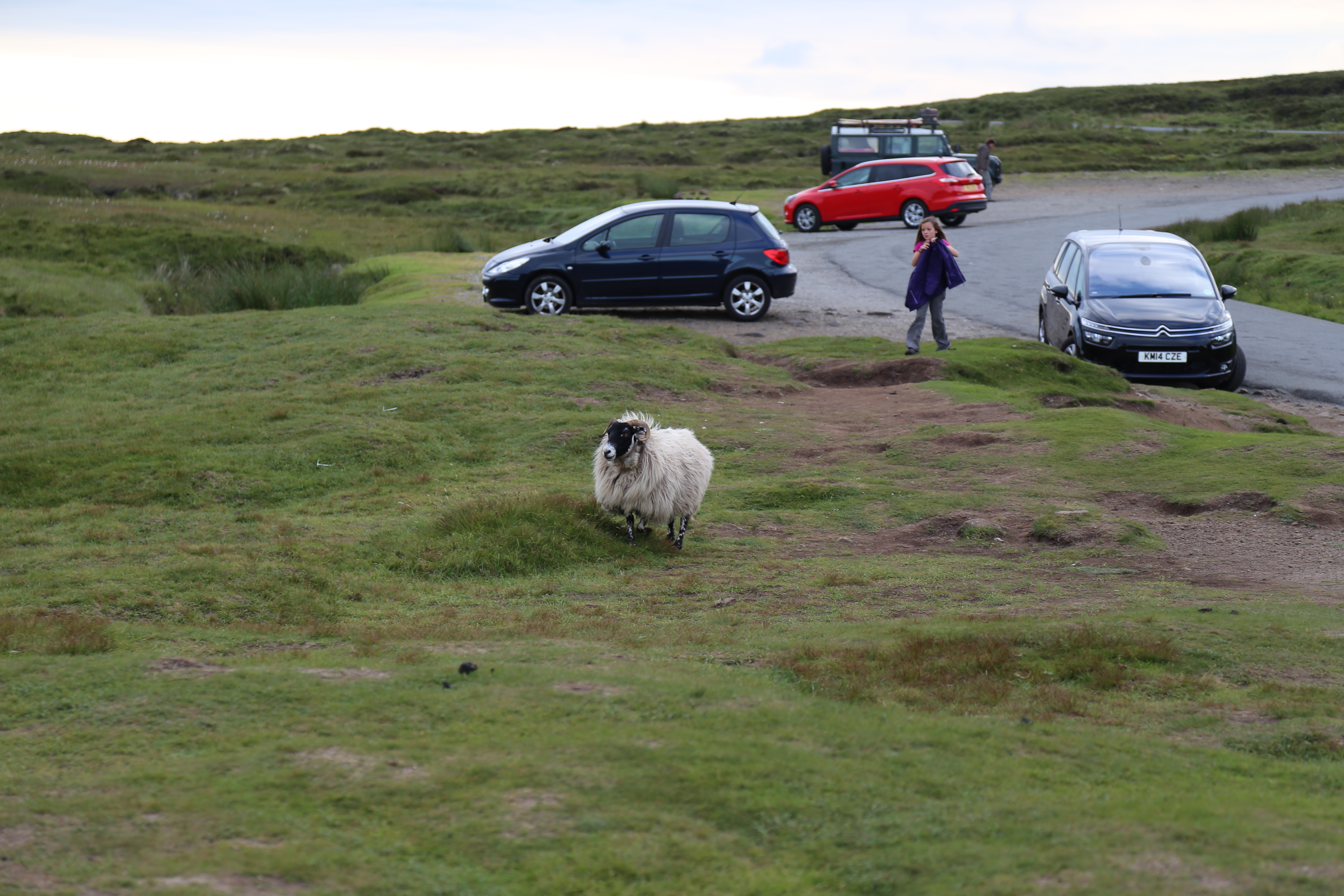 2014 Europe Trip Day 27 - Scotland (Muesli, Hogwarts Express Train (Jacobite Steam Train, Glenfinnan Viaduct), Fort William, Ben Nevis, Highland Bagpiper, Eilean Donan Castle, Isle of Skye, Portree, Old Man of Storr, Kilt Rock, Uig, Quiraing, Peat Fields)