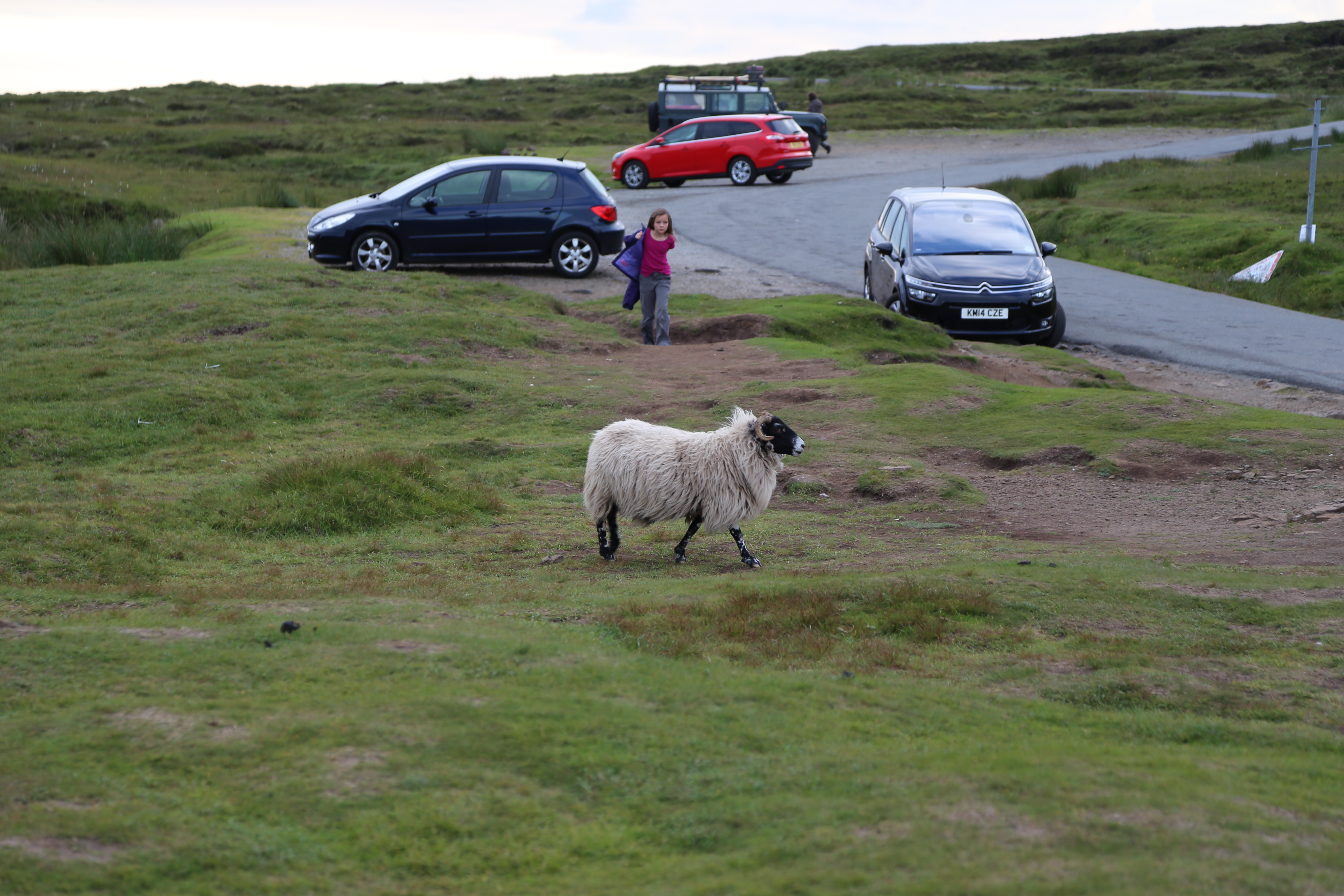 2014 Europe Trip Day 27 - Scotland (Muesli, Hogwarts Express Train (Jacobite Steam Train, Glenfinnan Viaduct), Fort William, Ben Nevis, Highland Bagpiper, Eilean Donan Castle, Isle of Skye, Portree, Old Man of Storr, Kilt Rock, Uig, Quiraing, Peat Fields)