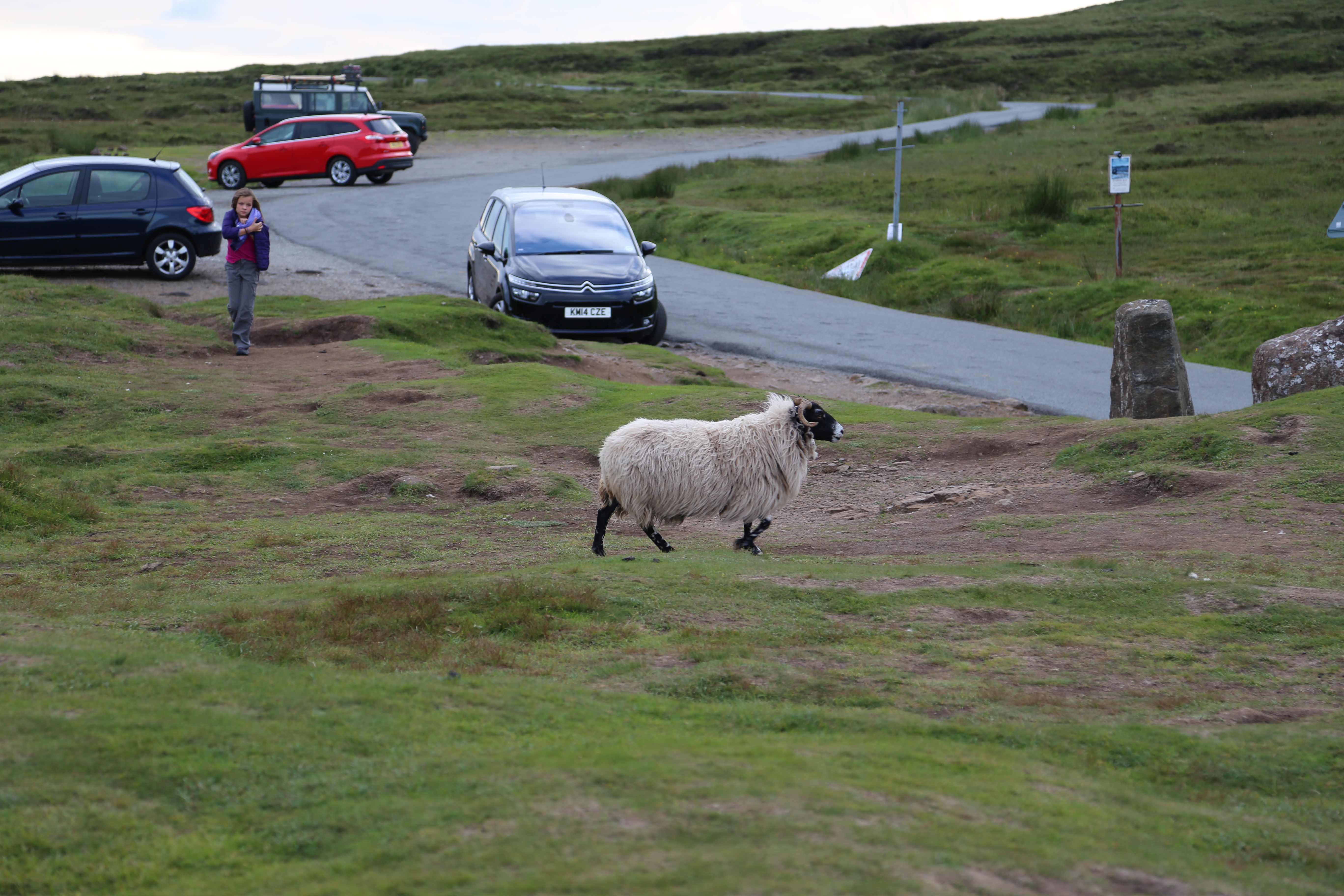 2014 Europe Trip Day 27 - Scotland (Muesli, Hogwarts Express Train (Jacobite Steam Train, Glenfinnan Viaduct), Fort William, Ben Nevis, Highland Bagpiper, Eilean Donan Castle, Isle of Skye, Portree, Old Man of Storr, Kilt Rock, Uig, Quiraing, Peat Fields)