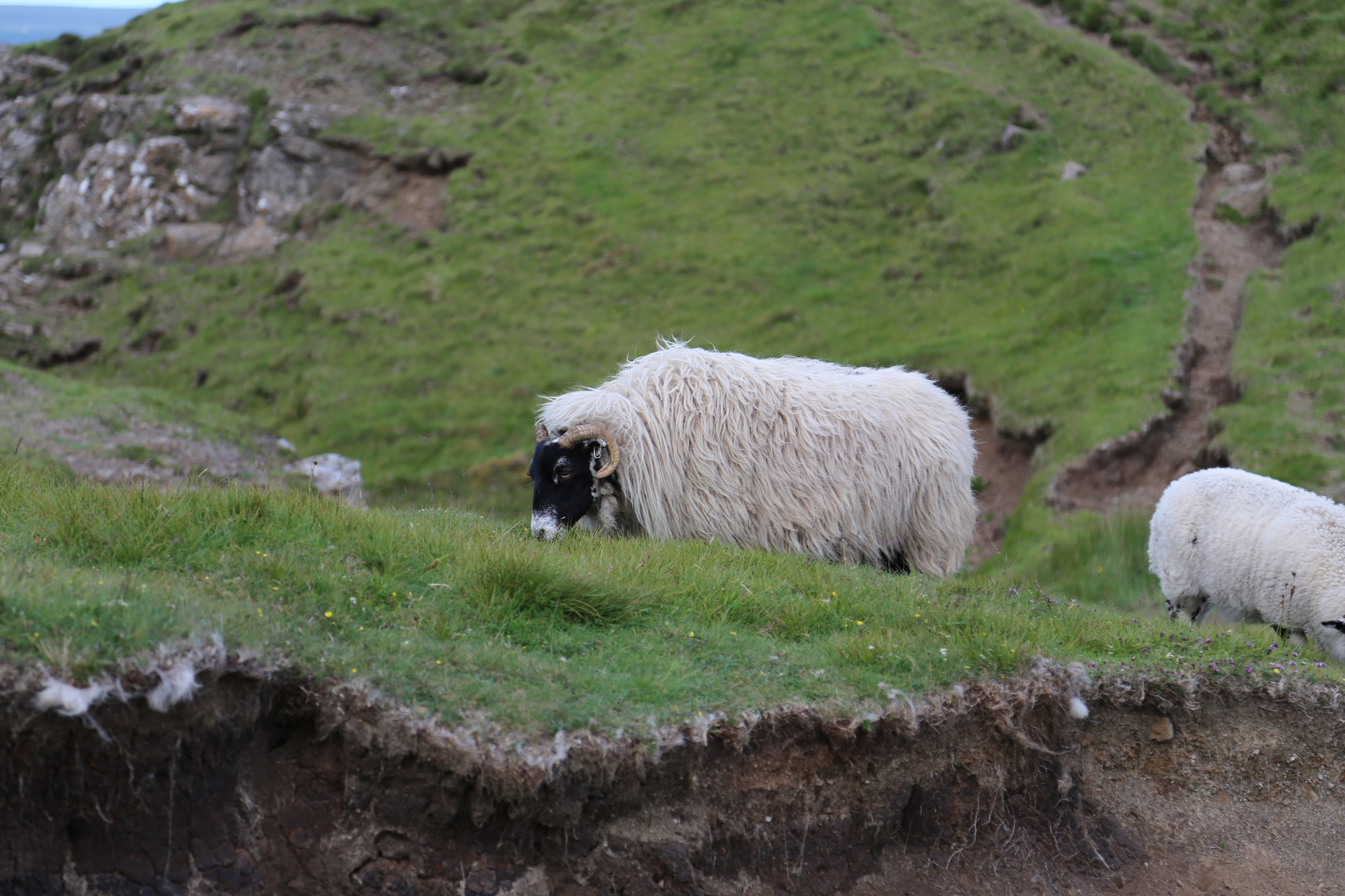 2014 Europe Trip Day 27 - Scotland (Muesli, Hogwarts Express Train (Jacobite Steam Train, Glenfinnan Viaduct), Fort William, Ben Nevis, Highland Bagpiper, Eilean Donan Castle, Isle of Skye, Portree, Old Man of Storr, Kilt Rock, Uig, Quiraing, Peat Fields)