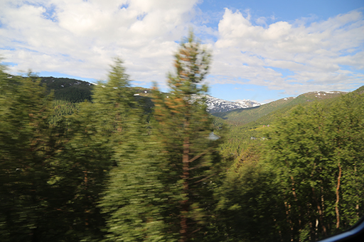 2014 Europe Trip Day 21 - Norway (Norway in a Nutshell (Roundtrip from Bergen via Myrdal): Train Bergen-Myrdal, The Flåm Railway, Fjord Cruise Flam-Gudvangen, Nærøyfjord (Narrowest Fjord in World), Bus Gudvangen-Voss, Train Voss-Bergen)
