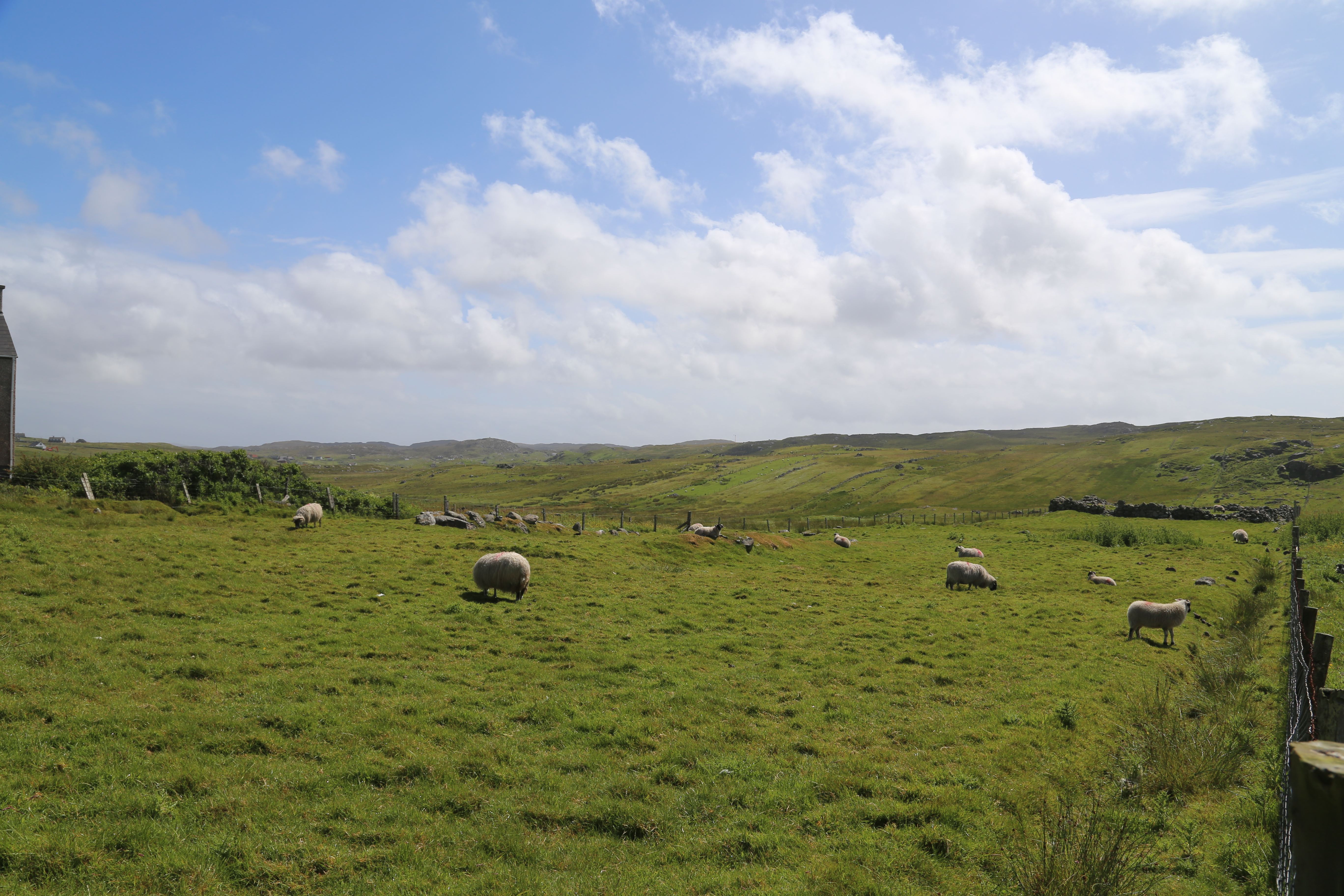 2014 Europe Trip Day 29 - Scotland (Callanish Standing Stones, Dun Carloway Broch, Gearrannan Blackhouse Village, Harris Tweed Weaving Loom, Dailbeag Beach, Arnol Black House, Breanish Tweed, Peat, Steinacleit, Bridge to Nowhere, Traigh Mhor, Rainbow)