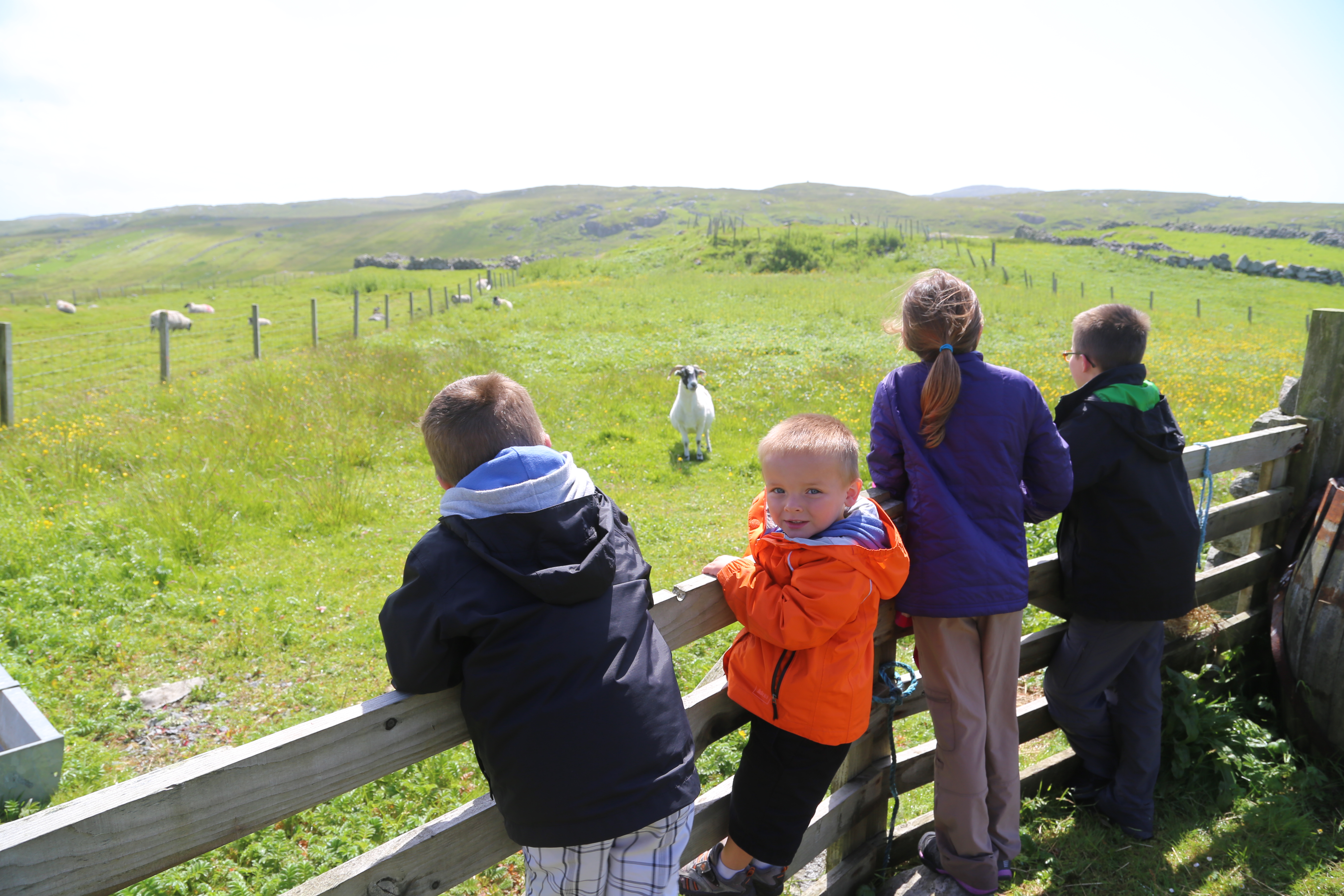 2014 Europe Trip Day 29 - Scotland (Callanish Standing Stones, Dun Carloway Broch, Gearrannan Blackhouse Village, Harris Tweed Weaving Loom, Dailbeag Beach, Arnol Black House, Breanish Tweed, Peat, Steinacleit, Bridge to Nowhere, Traigh Mhor, Rainbow)