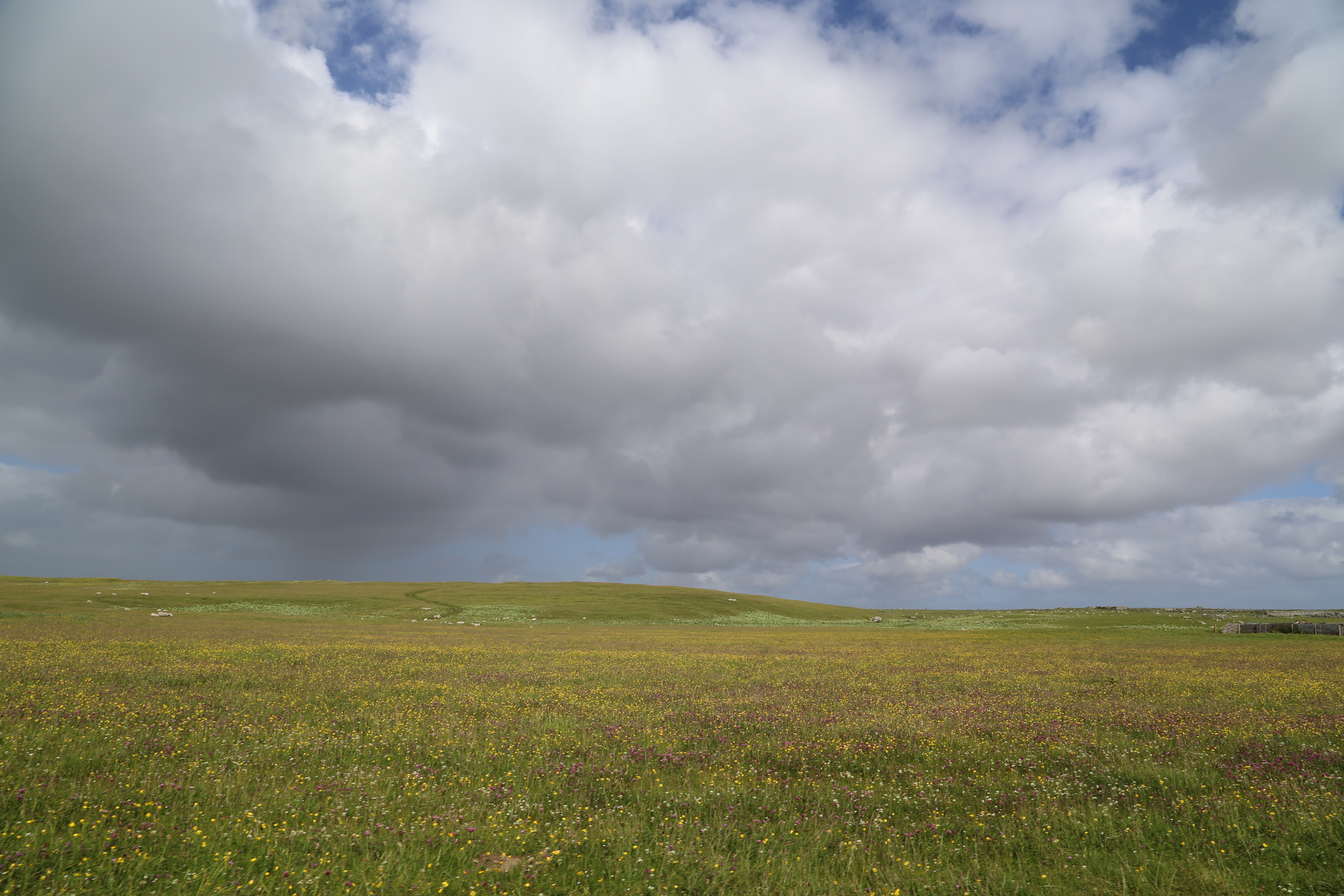 2014 Europe Trip Day 29 - Scotland (Callanish Standing Stones, Dun Carloway Broch, Gearrannan Blackhouse Village, Harris Tweed Weaving Loom, Dailbeag Beach, Arnol Black House, Breanish Tweed, Peat, Steinacleit, Bridge to Nowhere, Traigh Mhor, Rainbow)