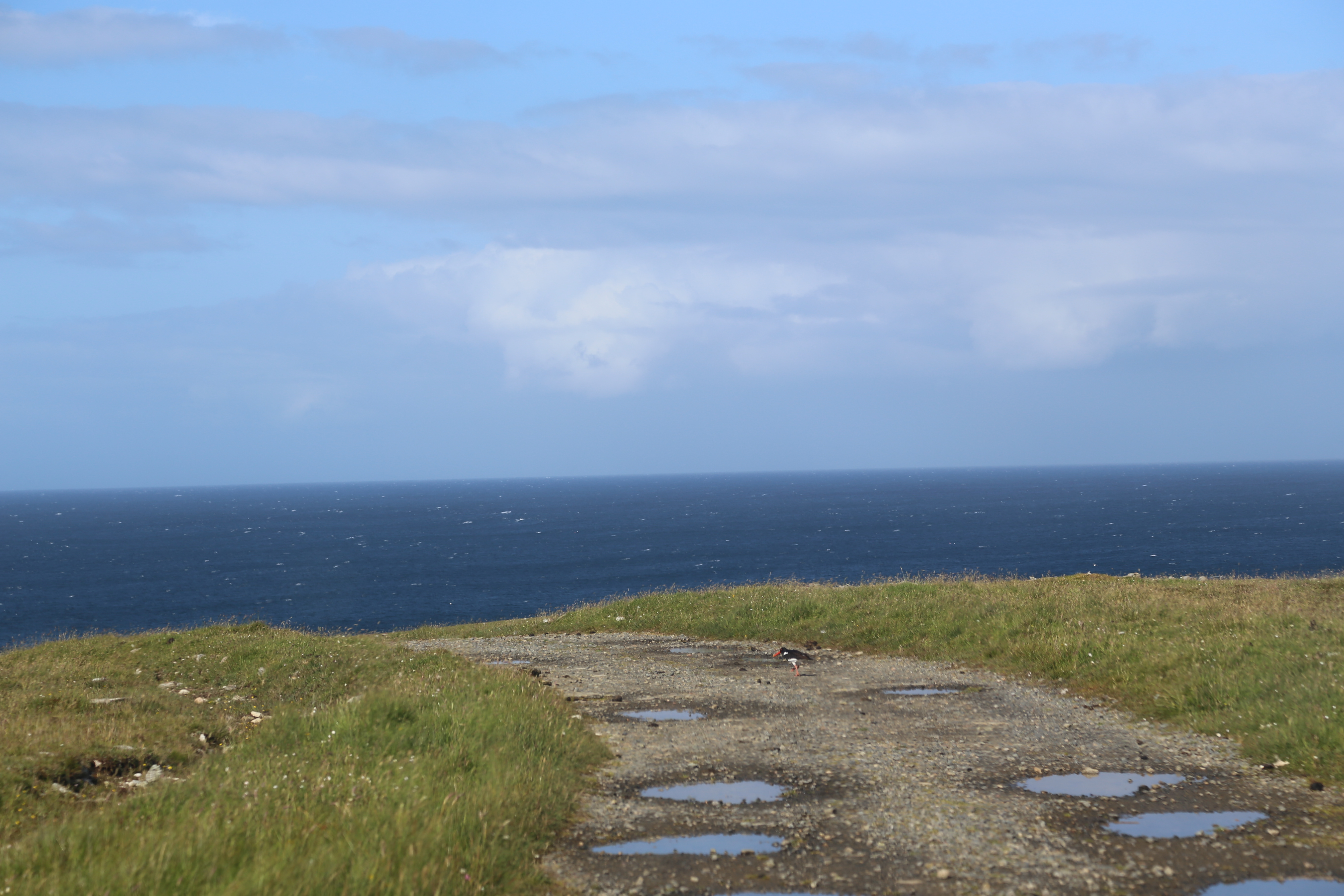 2014 Europe Trip Day 29 - Scotland (Callanish Standing Stones, Dun Carloway Broch, Gearrannan Blackhouse Village, Harris Tweed Weaving Loom, Dailbeag Beach, Arnol Black House, Breanish Tweed, Peat, Steinacleit, Bridge to Nowhere, Traigh Mhor, Rainbow)