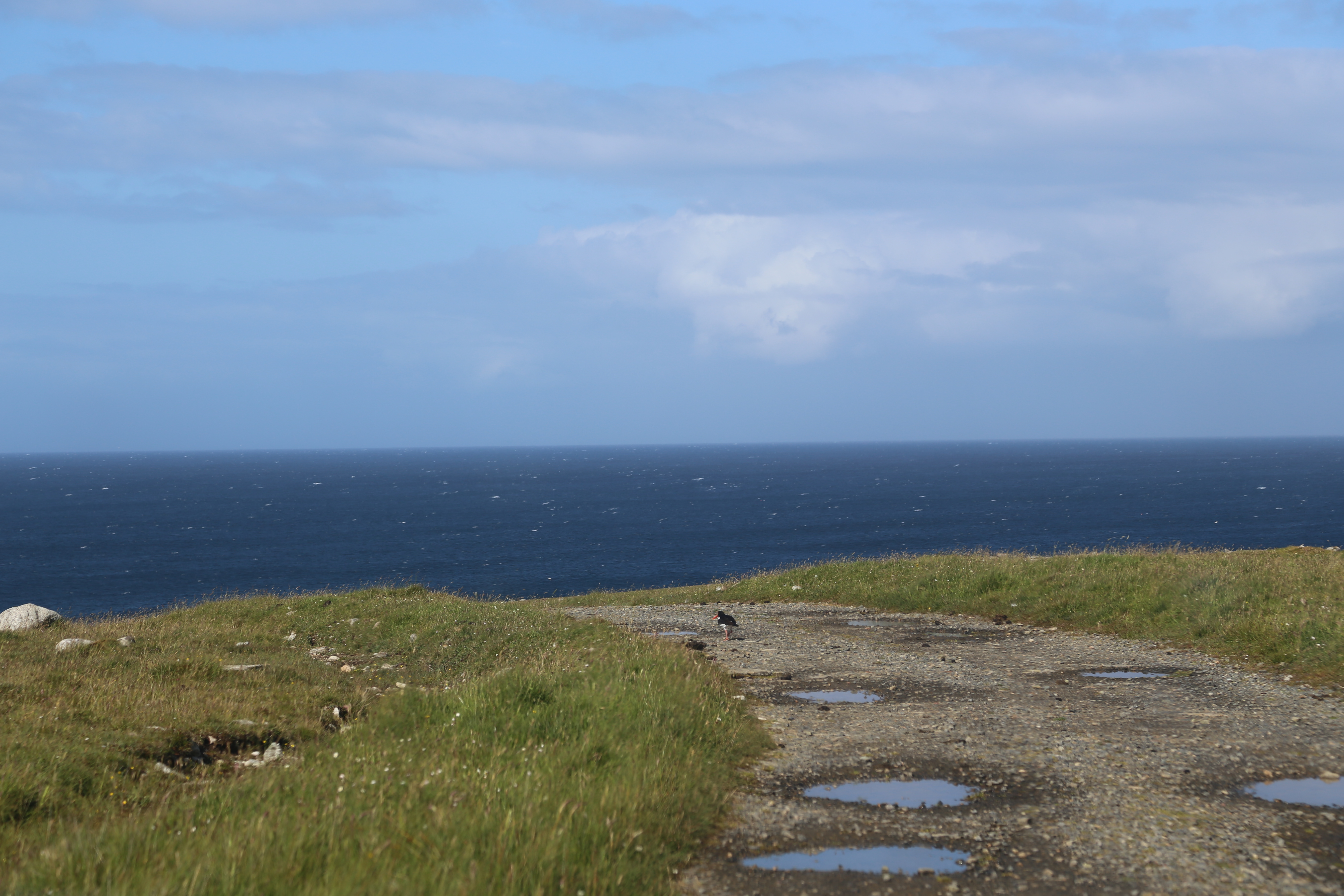 2014 Europe Trip Day 29 - Scotland (Callanish Standing Stones, Dun Carloway Broch, Gearrannan Blackhouse Village, Harris Tweed Weaving Loom, Dailbeag Beach, Arnol Black House, Breanish Tweed, Peat, Steinacleit, Bridge to Nowhere, Traigh Mhor, Rainbow)