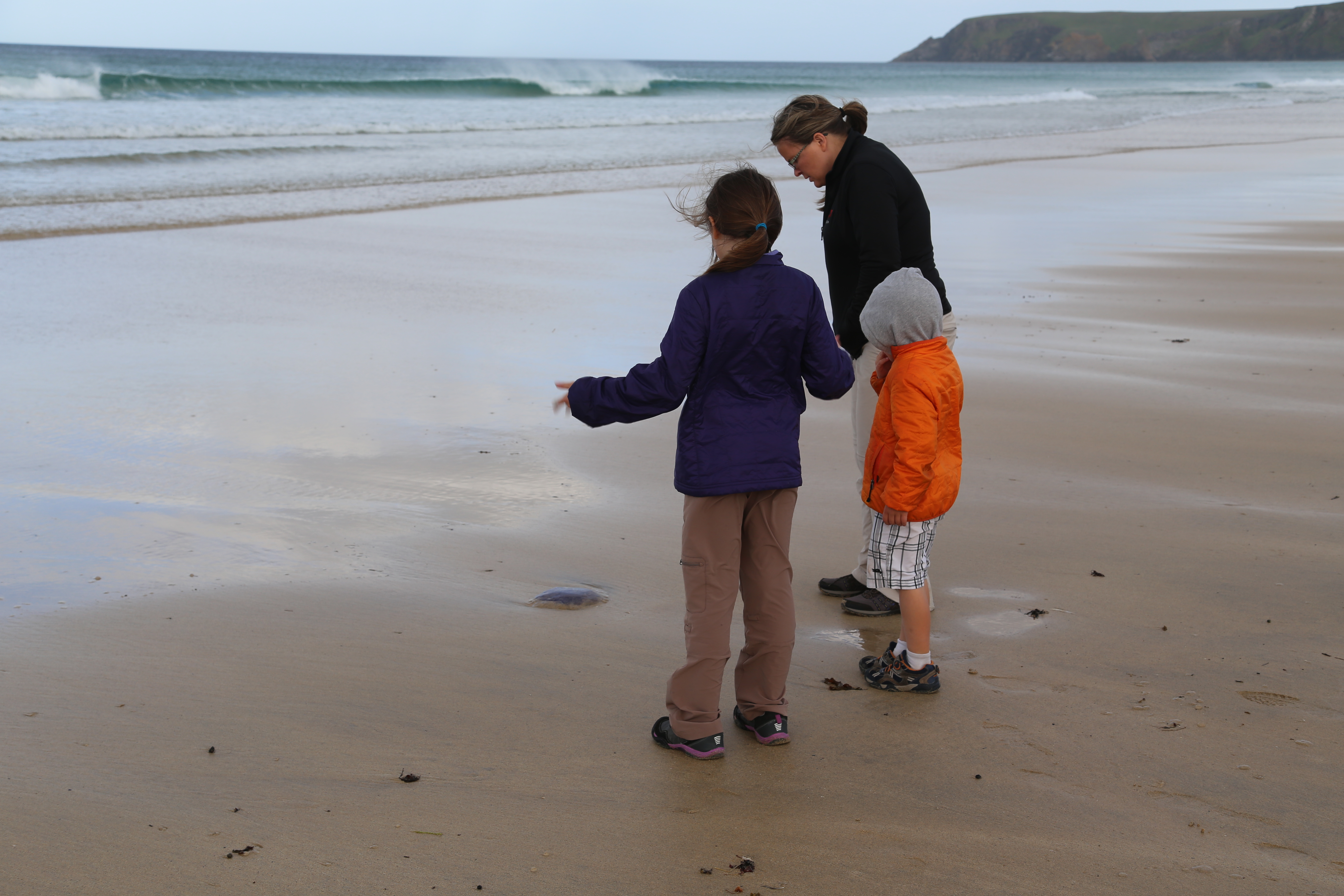 2014 Europe Trip Day 29 - Scotland (Callanish Standing Stones, Dun Carloway Broch, Gearrannan Blackhouse Village, Harris Tweed Weaving Loom, Dailbeag Beach, Arnol Black House, Breanish Tweed, Peat, Steinacleit, Bridge to Nowhere, Traigh Mhor, Rainbow)