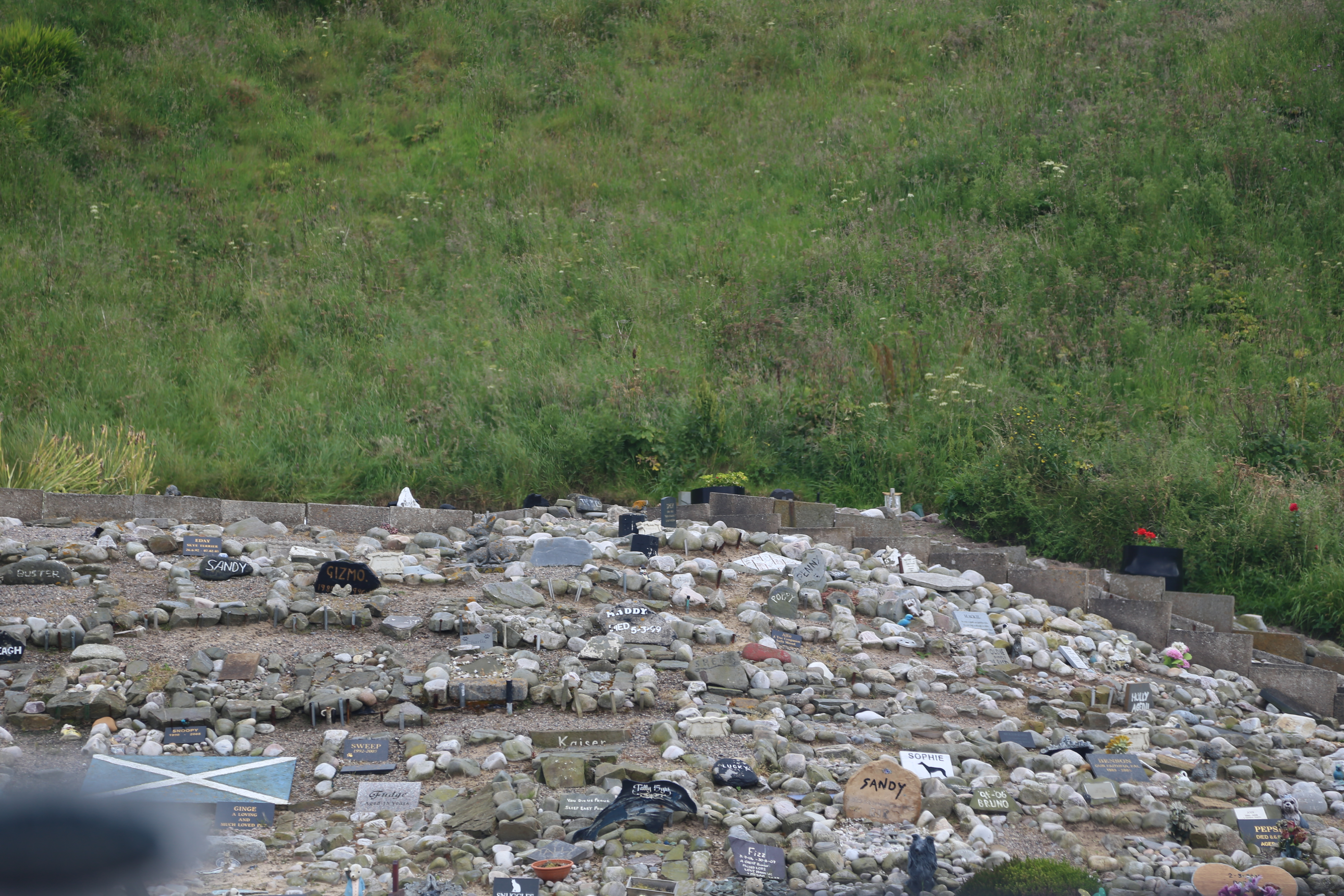 2014 Europe Trip Day 31 - Scotland (Findlater Castle, Huntly, Scottish Meat Pies, Huntly Castle, Huntly Missionary Flat, Searching For Davie McTavish's Grave, Dunnottar Castle, July 4th Treat: McDonalds & How To Train Your Dragon 2 Movie, Anstruther)