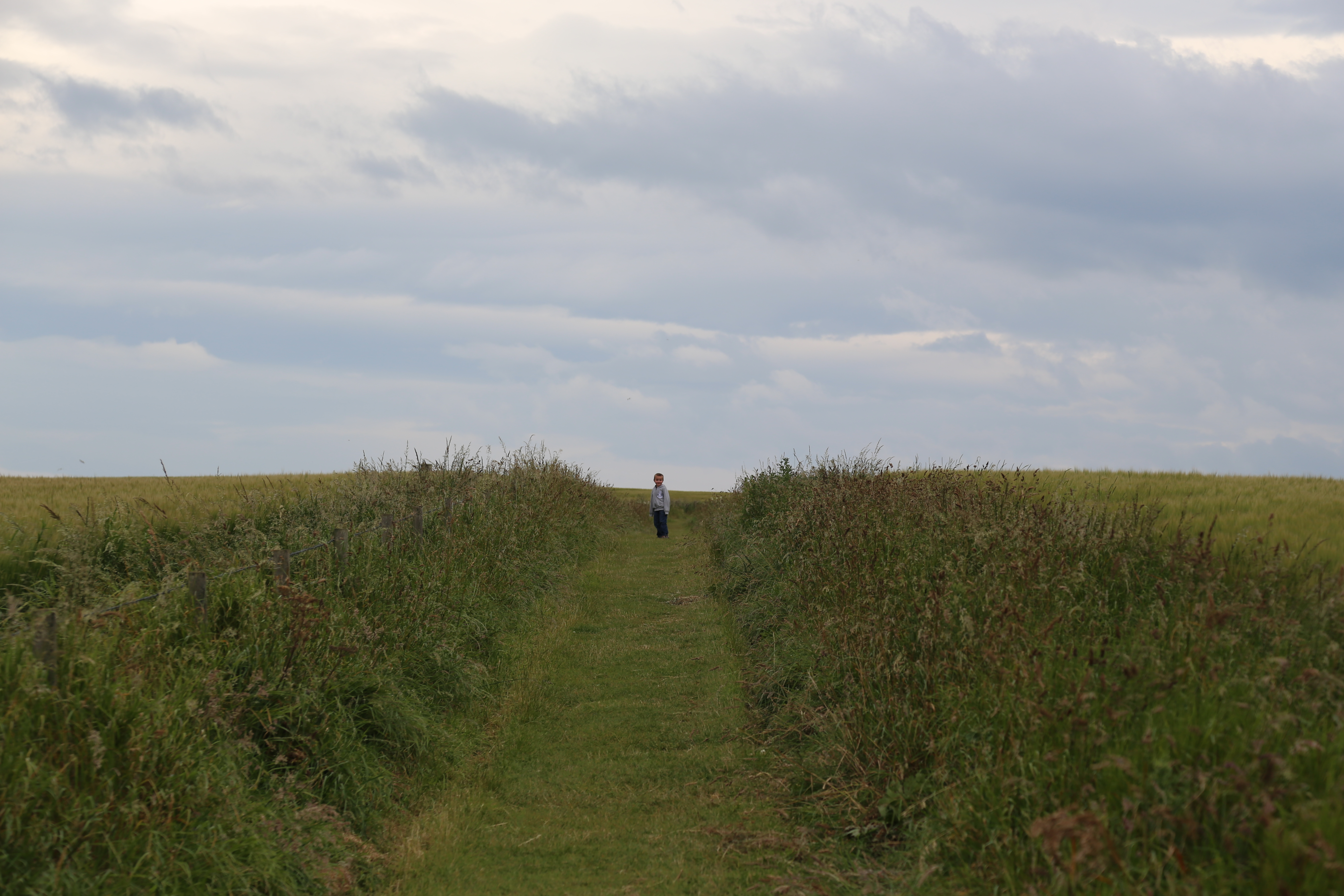 2014 Europe Trip Day 31 - Scotland (Findlater Castle, Huntly, Scottish Meat Pies, Huntly Castle, Huntly Missionary Flat, Searching For Davie McTavish's Grave, Dunnottar Castle, July 4th Treat: McDonalds & How To Train Your Dragon 2 Movie, Anstruther)