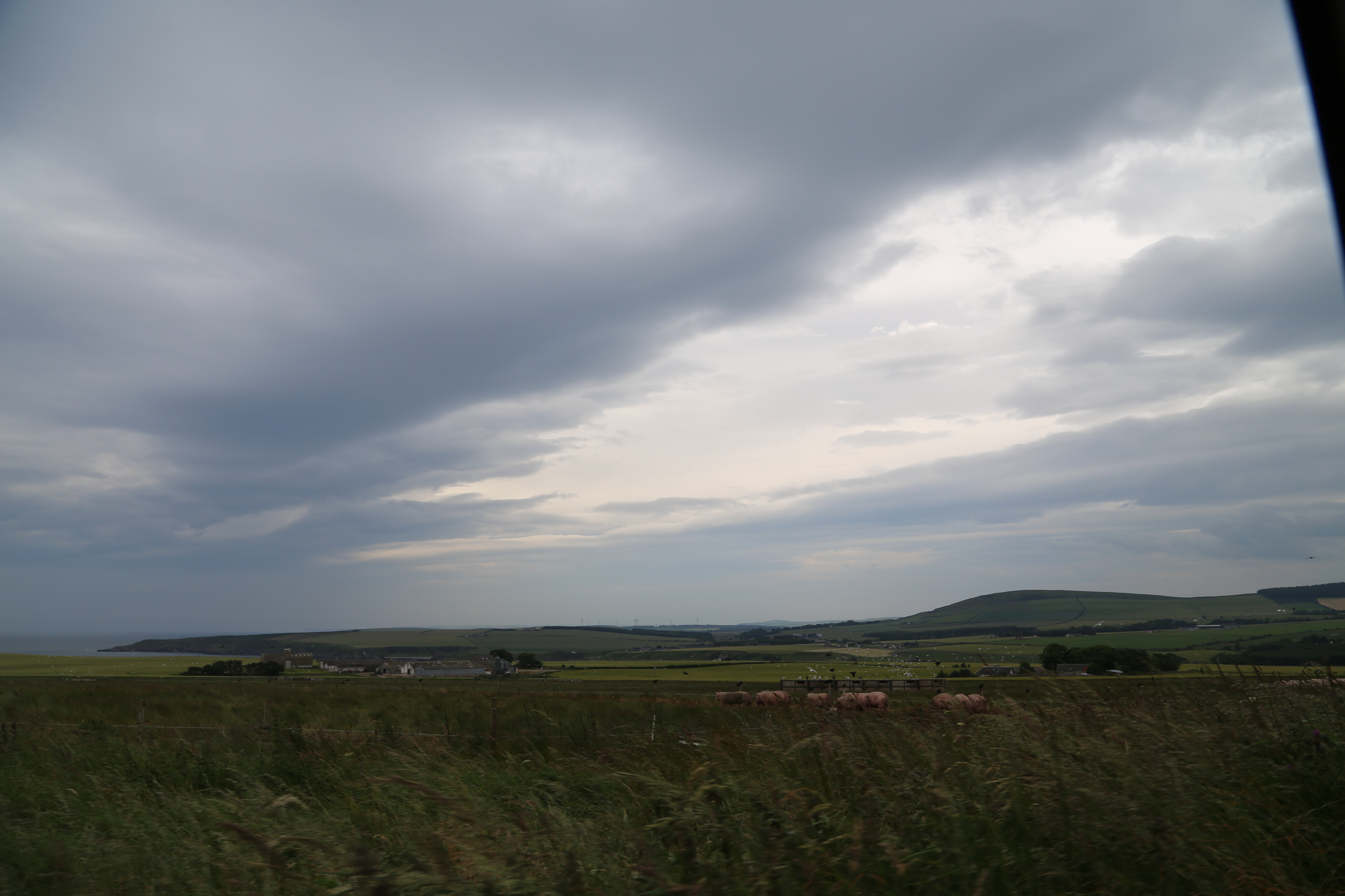 2014 Europe Trip Day 31 - Scotland (Findlater Castle, Huntly, Scottish Meat Pies, Huntly Castle, Huntly Missionary Flat, Searching For Davie McTavish's Grave, Dunnottar Castle, July 4th Treat: McDonalds & How To Train Your Dragon 2 Movie, Anstruther)