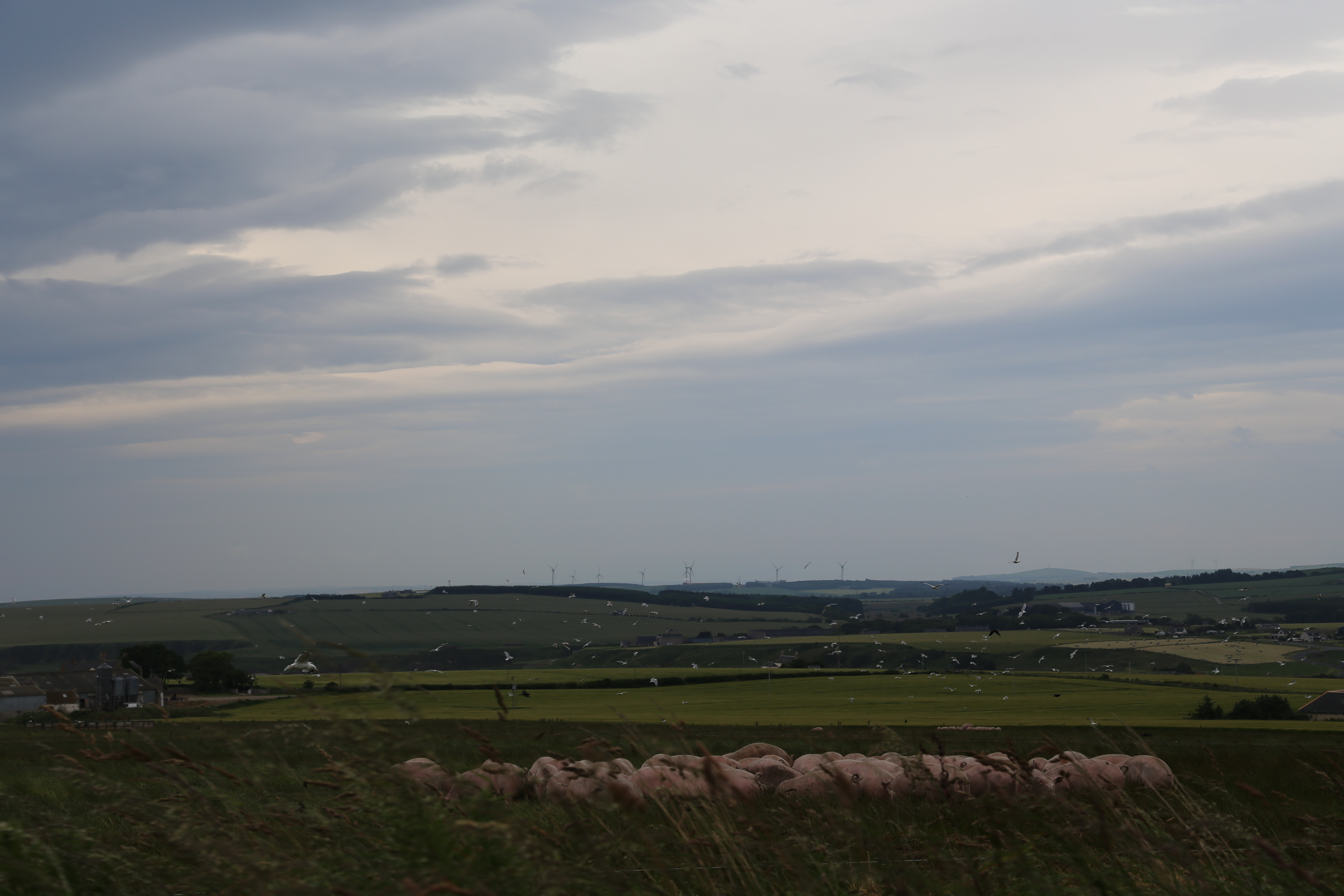 2014 Europe Trip Day 31 - Scotland (Findlater Castle, Huntly, Scottish Meat Pies, Huntly Castle, Huntly Missionary Flat, Searching For Davie McTavish's Grave, Dunnottar Castle, July 4th Treat: McDonalds & How To Train Your Dragon 2 Movie, Anstruther)