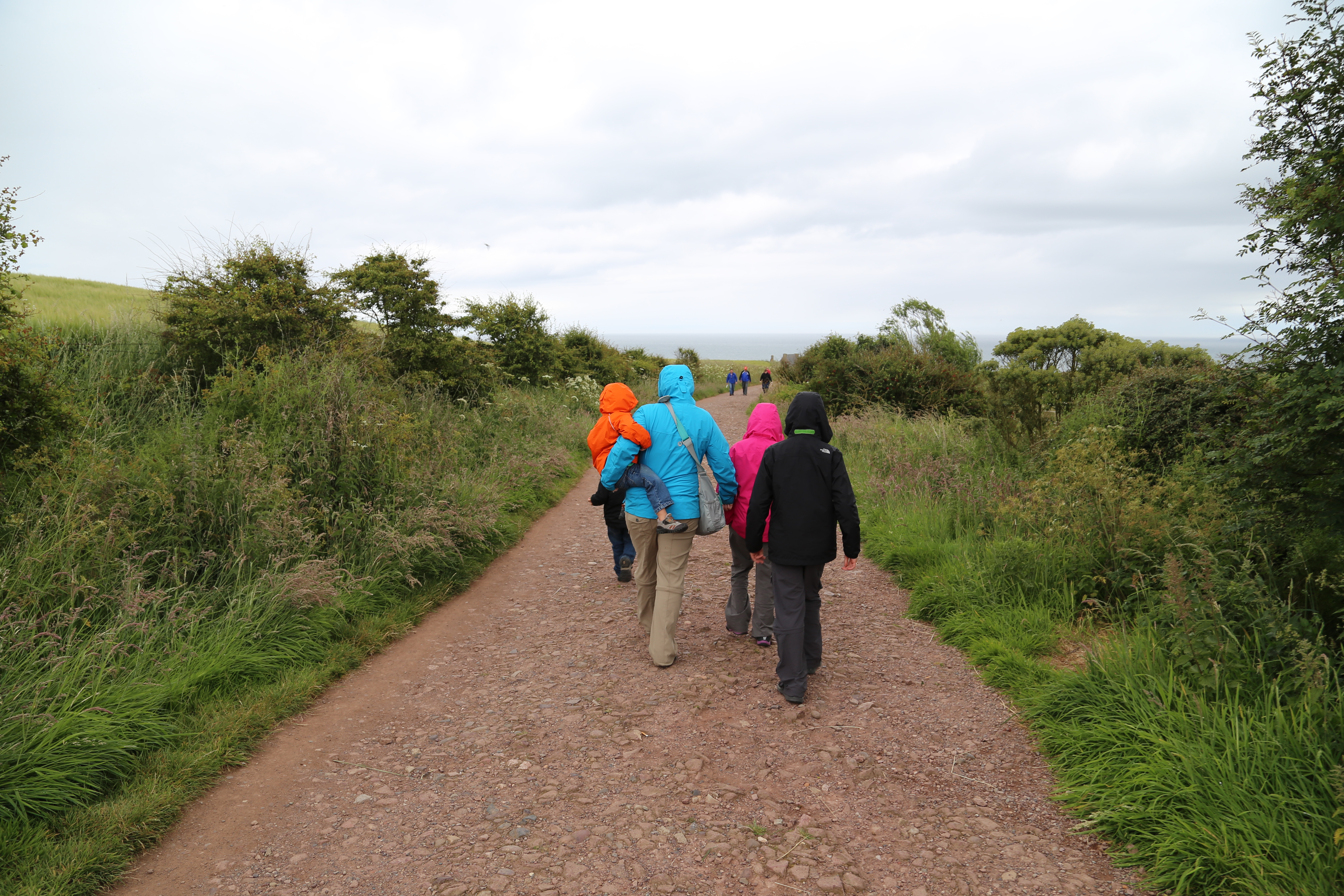 2014 Europe Trip Day 31 - Scotland (Findlater Castle, Huntly, Scottish Meat Pies, Huntly Castle, Huntly Missionary Flat, Searching For Davie McTavish's Grave, Dunnottar Castle, July 4th Treat: McDonalds & How To Train Your Dragon 2 Movie, Anstruther)