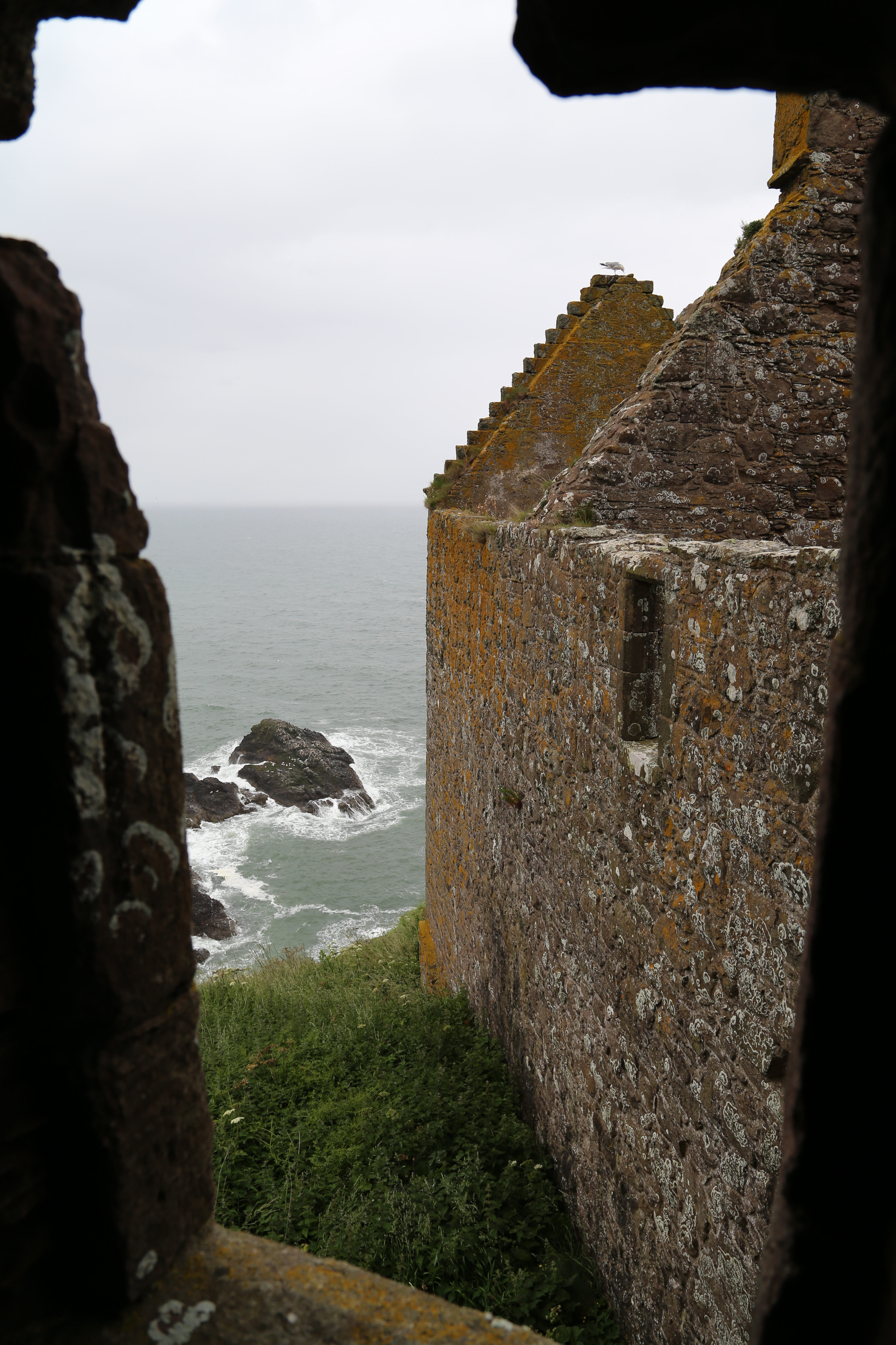 2014 Europe Trip Day 31 - Scotland (Findlater Castle, Huntly, Scottish Meat Pies, Huntly Castle, Huntly Missionary Flat, Searching For Davie McTavish's Grave, Dunnottar Castle, July 4th Treat: McDonalds & How To Train Your Dragon 2 Movie, Anstruther)