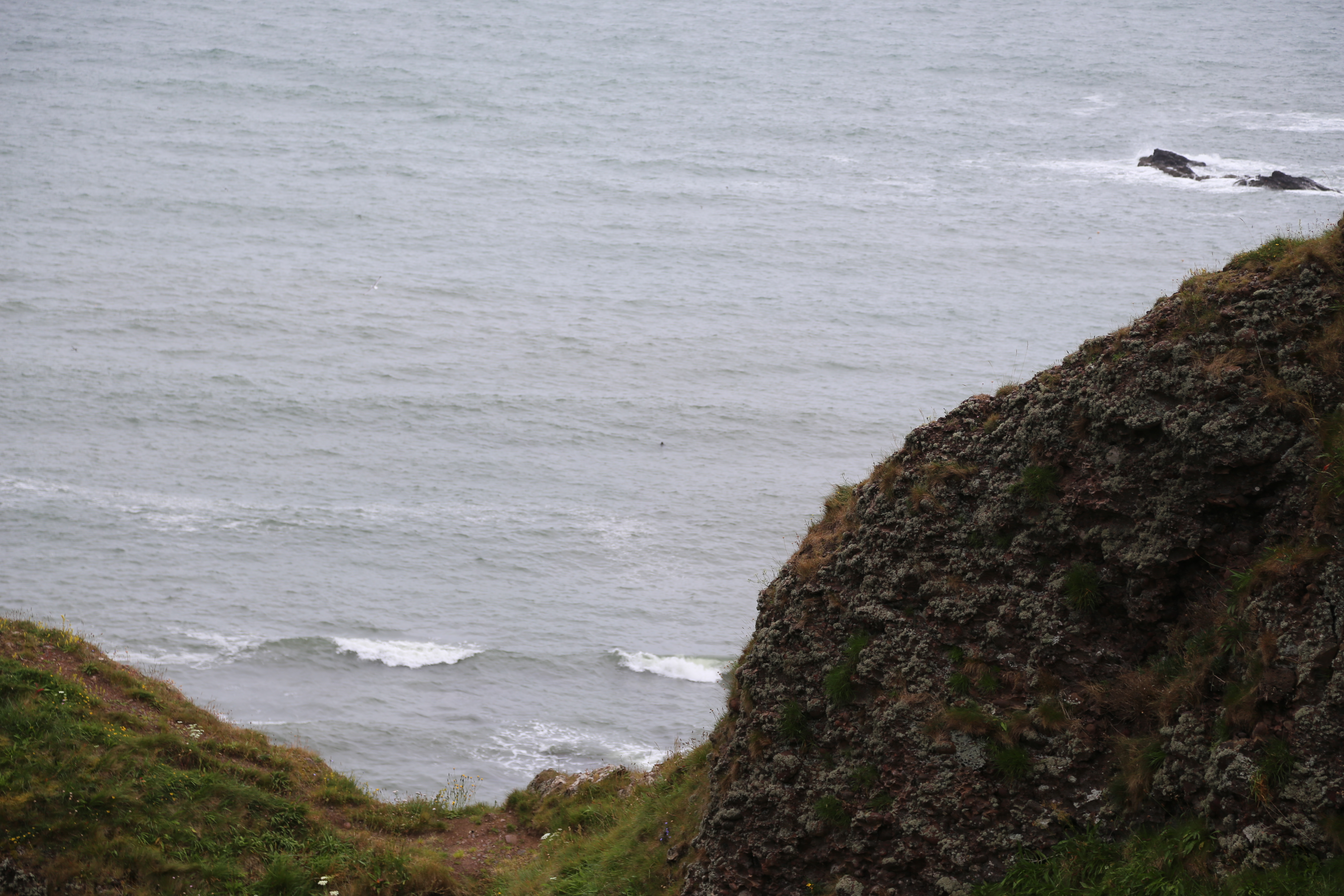 2014 Europe Trip Day 31 - Scotland (Findlater Castle, Huntly, Scottish Meat Pies, Huntly Castle, Huntly Missionary Flat, Searching For Davie McTavish's Grave, Dunnottar Castle, July 4th Treat: McDonalds & How To Train Your Dragon 2 Movie, Anstruther)