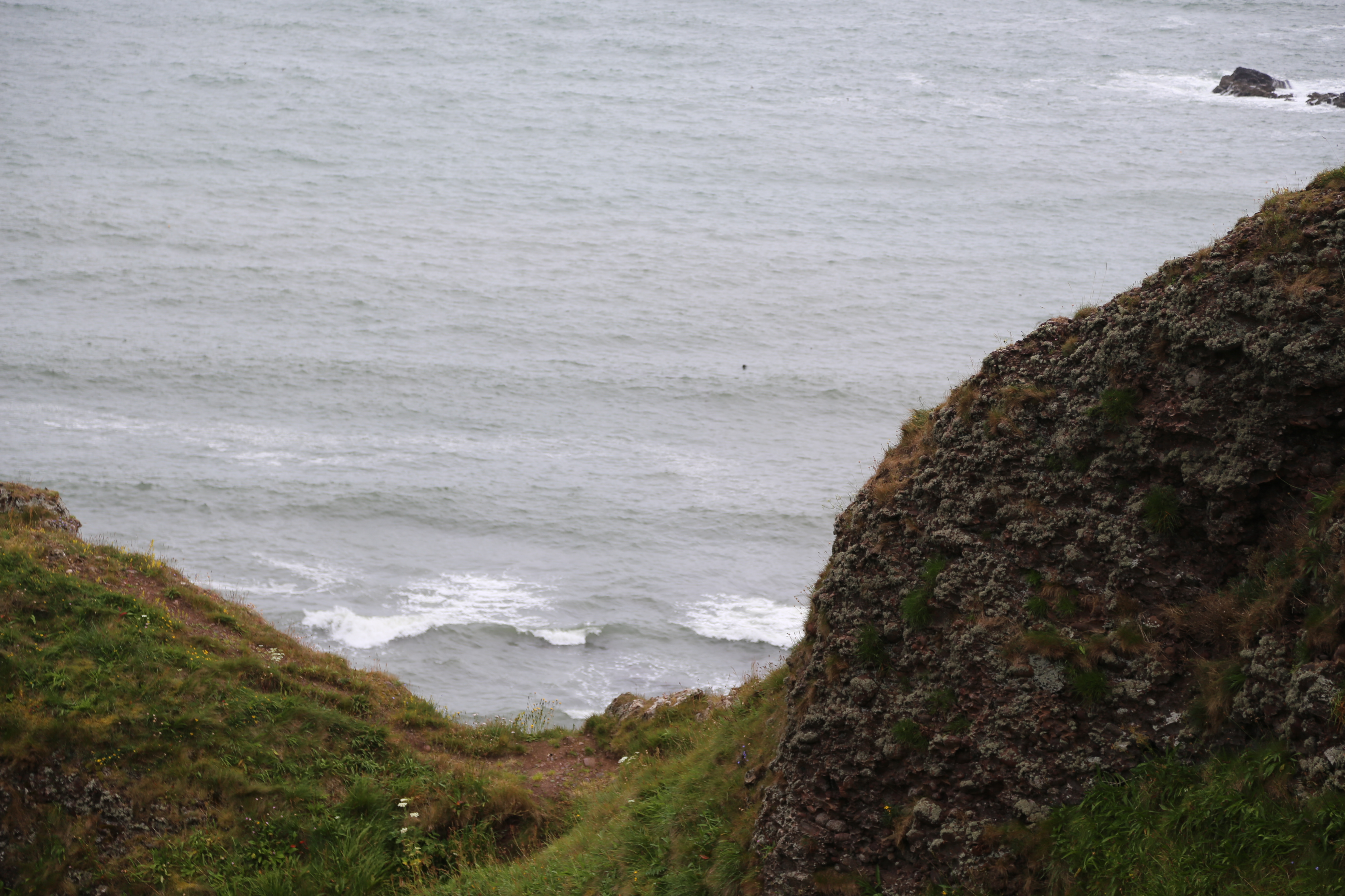 2014 Europe Trip Day 31 - Scotland (Findlater Castle, Huntly, Scottish Meat Pies, Huntly Castle, Huntly Missionary Flat, Searching For Davie McTavish's Grave, Dunnottar Castle, July 4th Treat: McDonalds & How To Train Your Dragon 2 Movie, Anstruther)