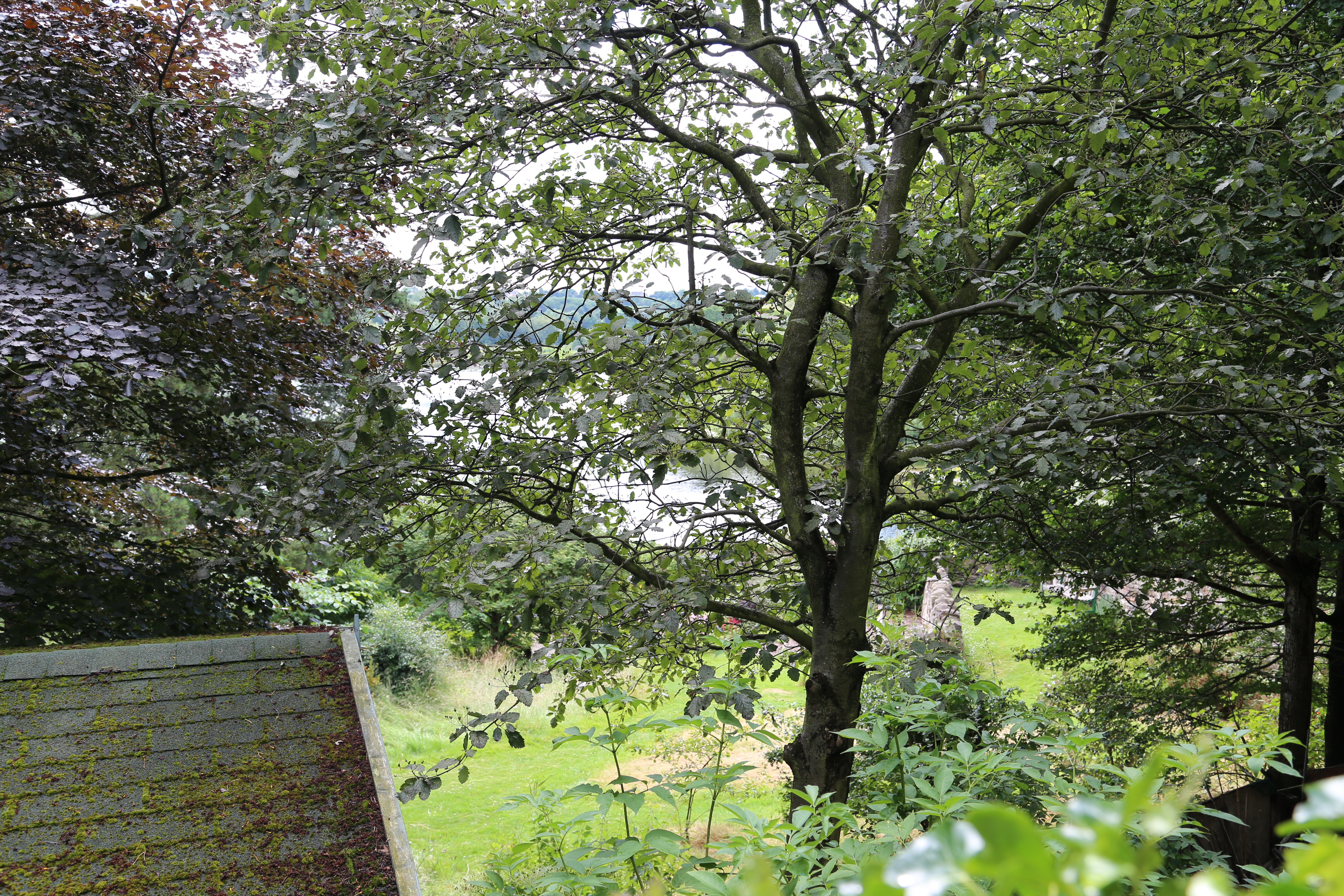 2014 Europe Trip Day 34 - Scotland (Edinburgh, The Royal Mile, Scottish Rain Spitting, Palace of Holyroodhouse (The Queen's Residence in Scotland), Whitfield Chapel (Duddingston Kirk), Duddingston Loch, Double Decker Bus, Mission Home, Half Pizza & Chips)