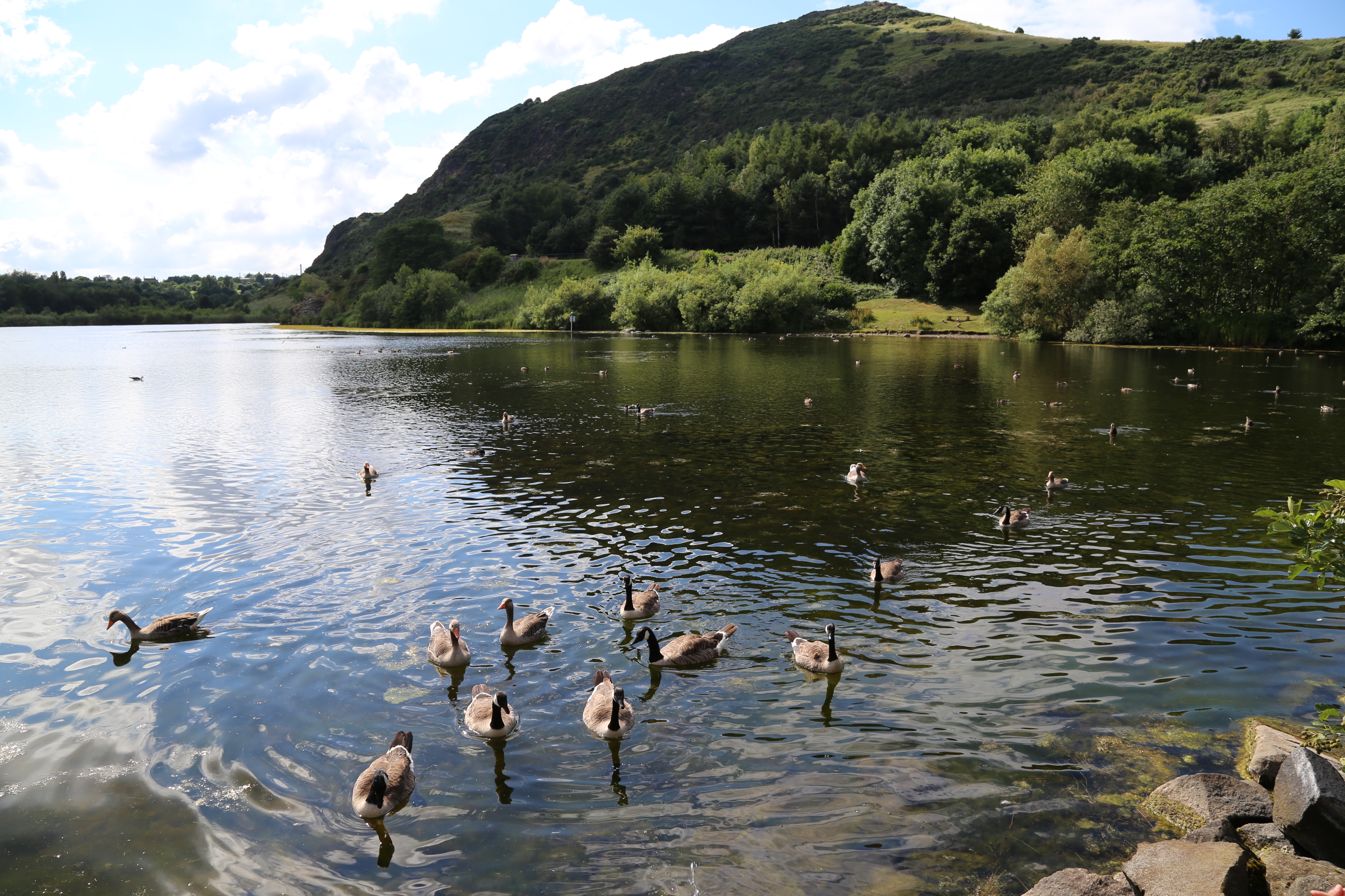 2014 Europe Trip Day 34 - Scotland (Edinburgh, The Royal Mile, Scottish Rain Spitting, Palace of Holyroodhouse (The Queen's Residence in Scotland), Whitfield Chapel (Duddingston Kirk), Duddingston Loch, Double Decker Bus, Mission Home, Half Pizza & Chips)