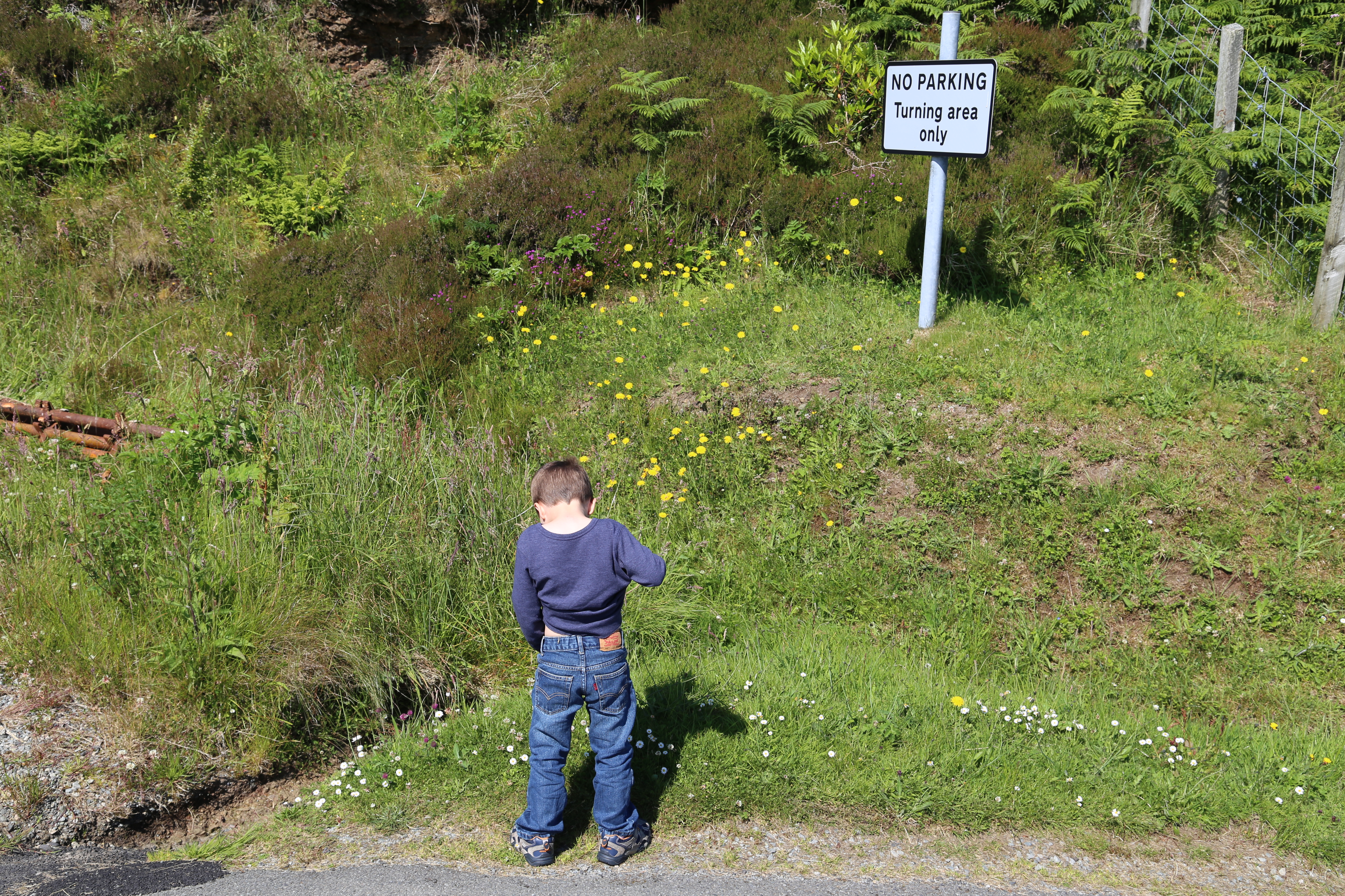 2014 Europe Trip Day 28 - Scotland (Isle of Skye, Portree, Full Scottish Breakfast, Dun Beag Broch, Highland Sheep, Thistle, Red Telephone Box, Neist Point Lighthouse, Dunvegan Castle, Uig-Tarbert Ferry, Outer Hebrides, Isle of Harris, Losgaintir Beach)