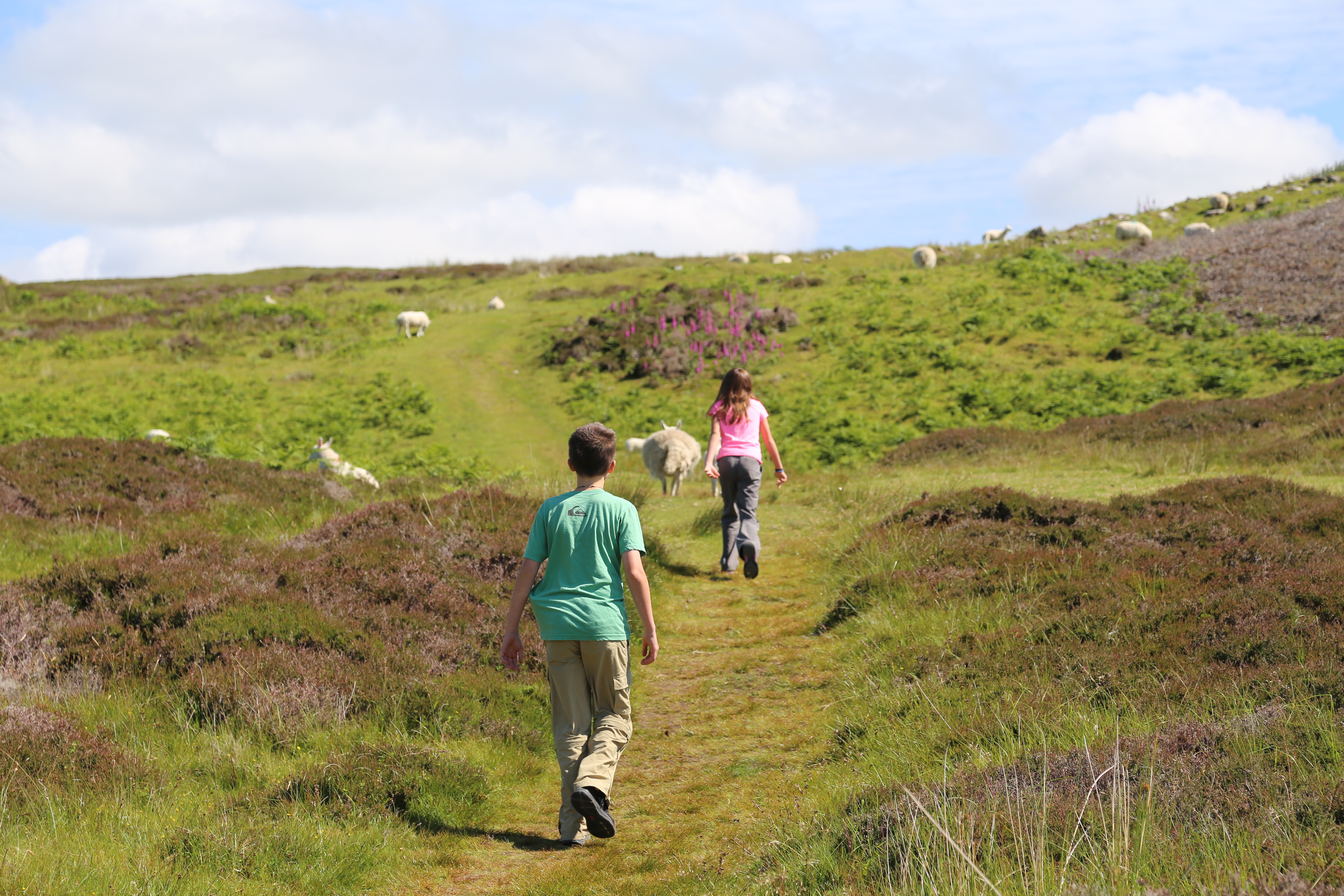 2014 Europe Trip Day 28 - Scotland (Isle of Skye, Portree, Full Scottish Breakfast, Dun Beag Broch, Highland Sheep, Thistle, Red Telephone Box, Neist Point Lighthouse, Dunvegan Castle, Uig-Tarbert Ferry, Outer Hebrides, Isle of Harris, Losgaintir Beach)