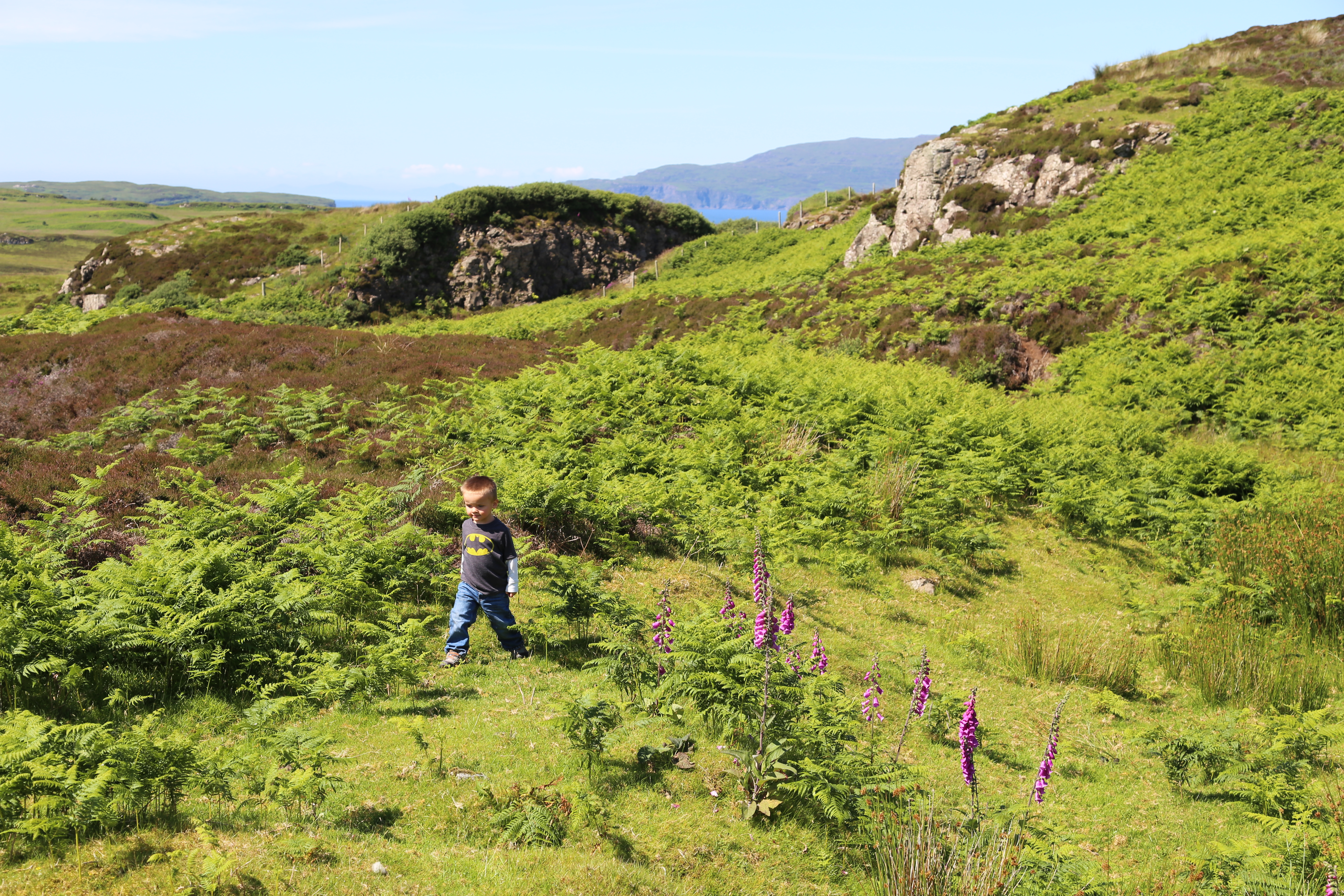 2014 Europe Trip Day 28 - Scotland (Isle of Skye, Portree, Full Scottish Breakfast, Dun Beag Broch, Highland Sheep, Thistle, Red Telephone Box, Neist Point Lighthouse, Dunvegan Castle, Uig-Tarbert Ferry, Outer Hebrides, Isle of Harris, Losgaintir Beach)