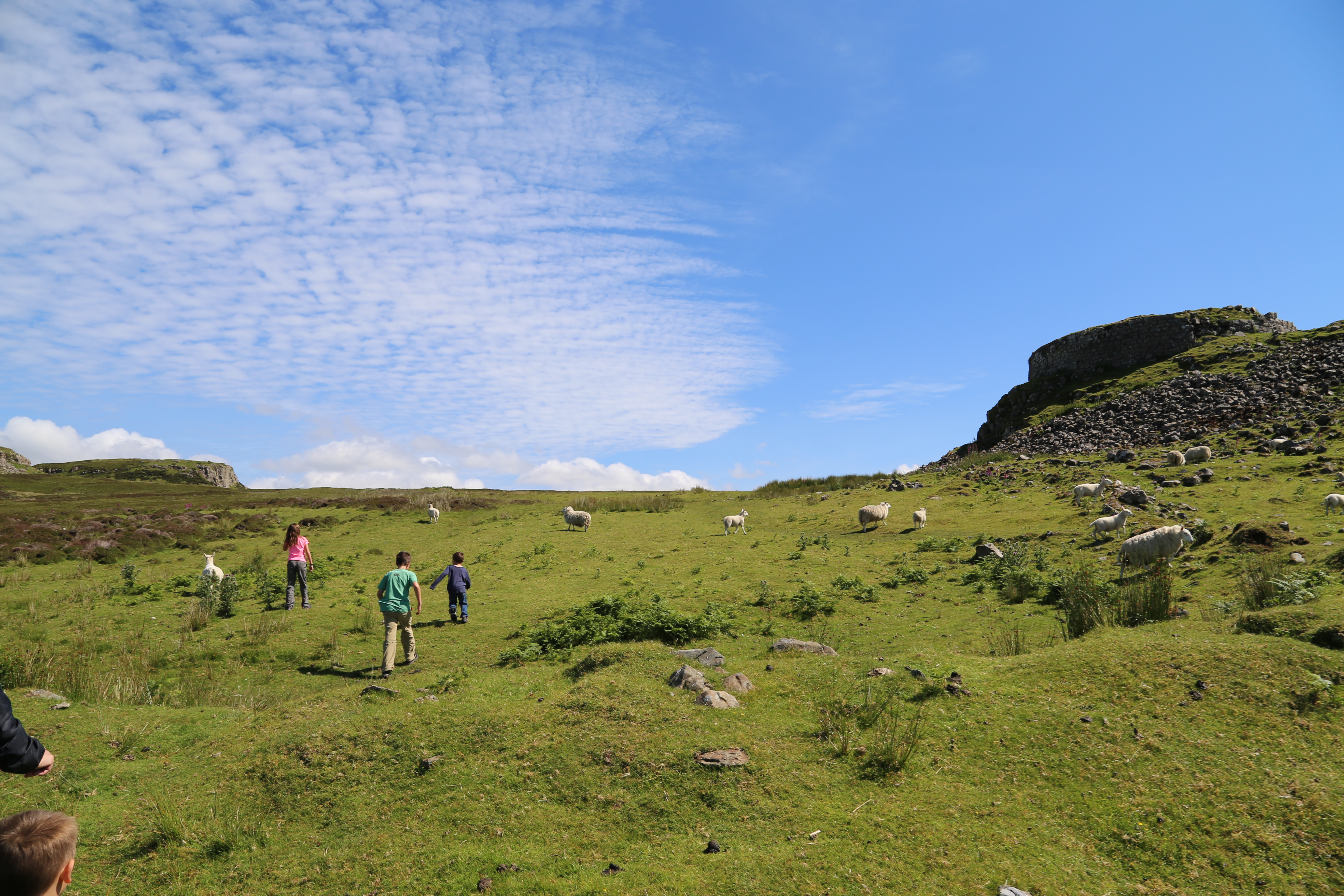 2014 Europe Trip Day 28 - Scotland (Isle of Skye, Portree, Full Scottish Breakfast, Dun Beag Broch, Highland Sheep, Thistle, Red Telephone Box, Neist Point Lighthouse, Dunvegan Castle, Uig-Tarbert Ferry, Outer Hebrides, Isle of Harris, Losgaintir Beach)