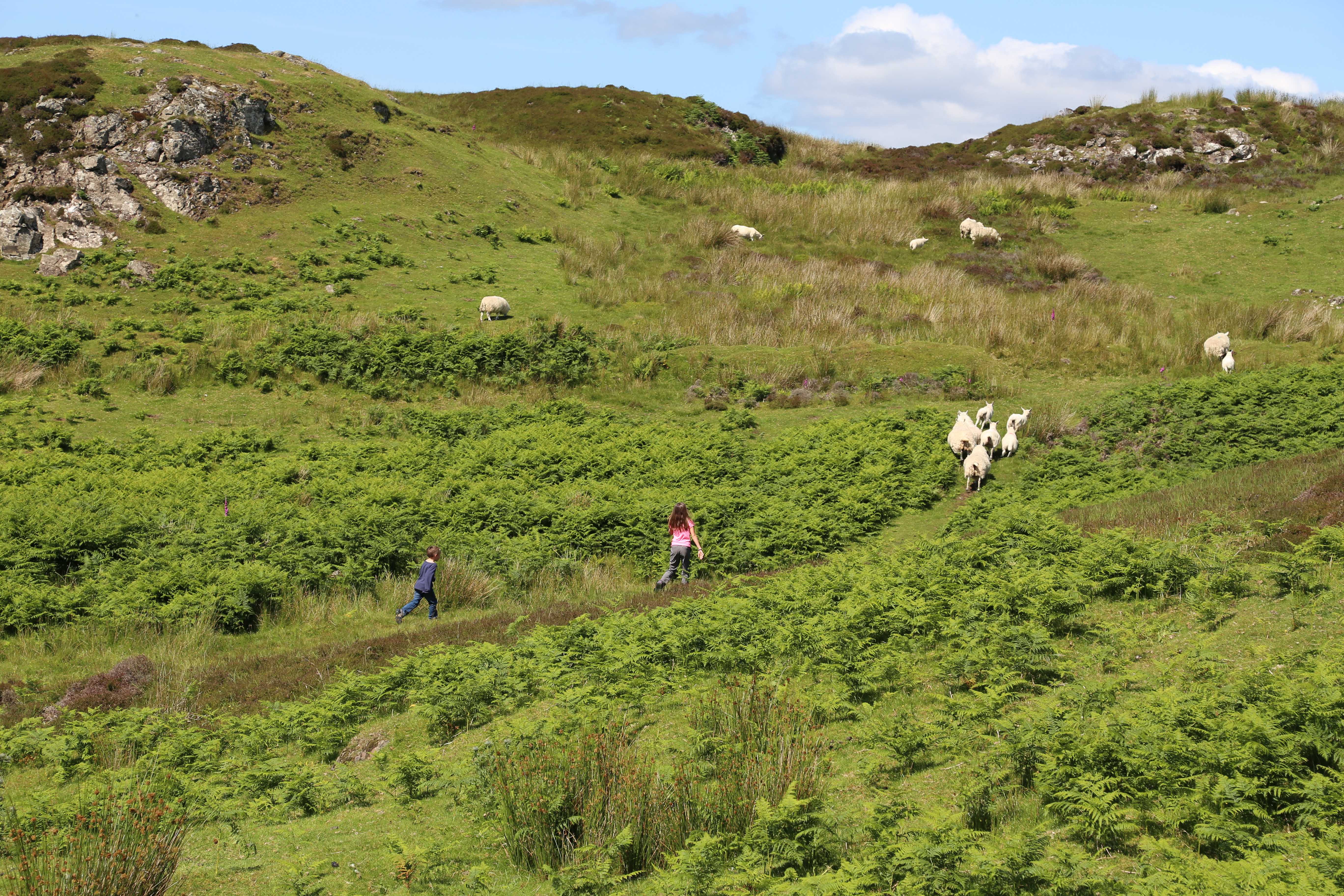 2014 Europe Trip Day 28 - Scotland (Isle of Skye, Portree, Full Scottish Breakfast, Dun Beag Broch, Highland Sheep, Thistle, Red Telephone Box, Neist Point Lighthouse, Dunvegan Castle, Uig-Tarbert Ferry, Outer Hebrides, Isle of Harris, Losgaintir Beach)