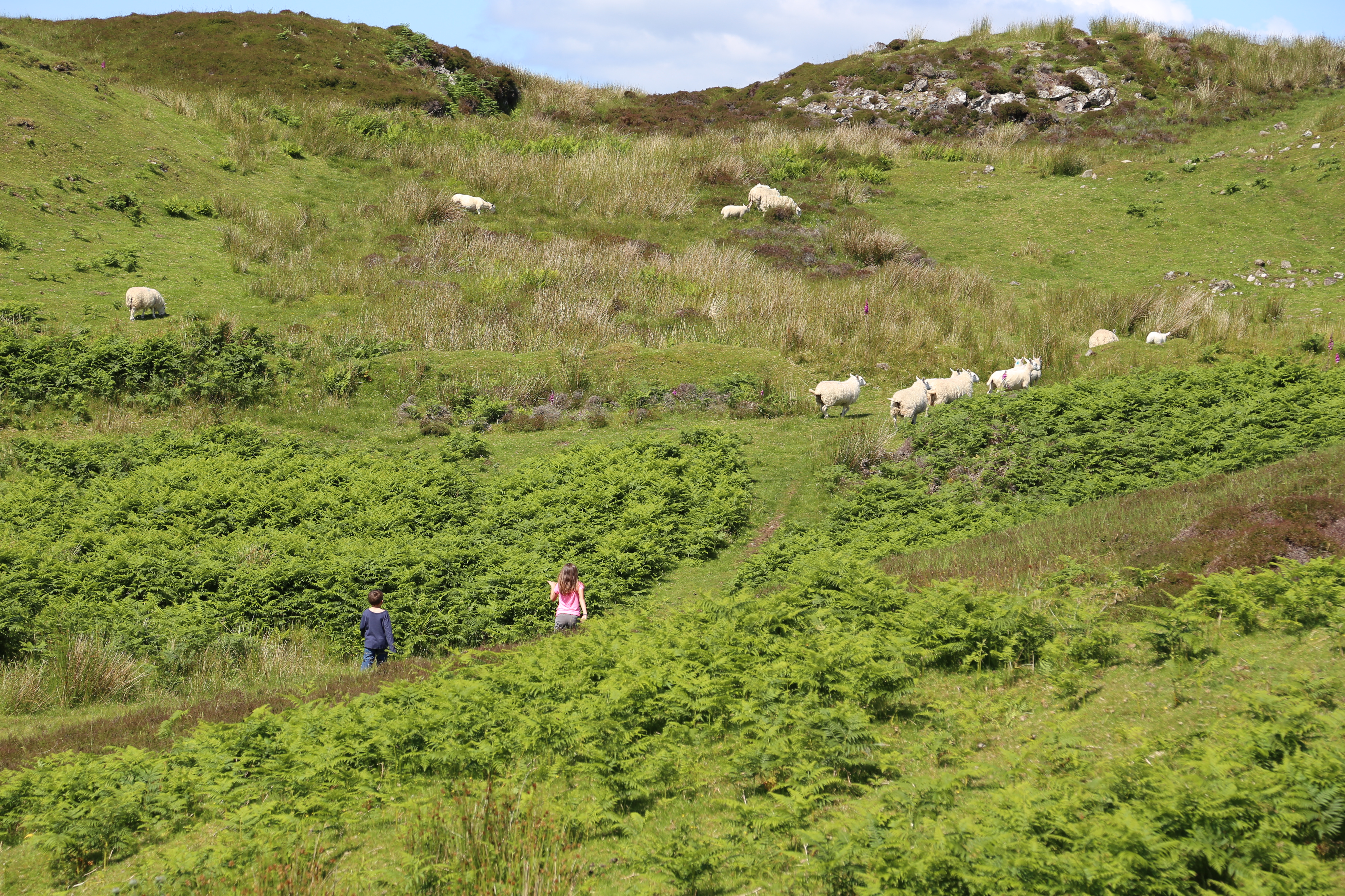 2014 Europe Trip Day 28 - Scotland (Isle of Skye, Portree, Full Scottish Breakfast, Dun Beag Broch, Highland Sheep, Thistle, Red Telephone Box, Neist Point Lighthouse, Dunvegan Castle, Uig-Tarbert Ferry, Outer Hebrides, Isle of Harris, Losgaintir Beach)