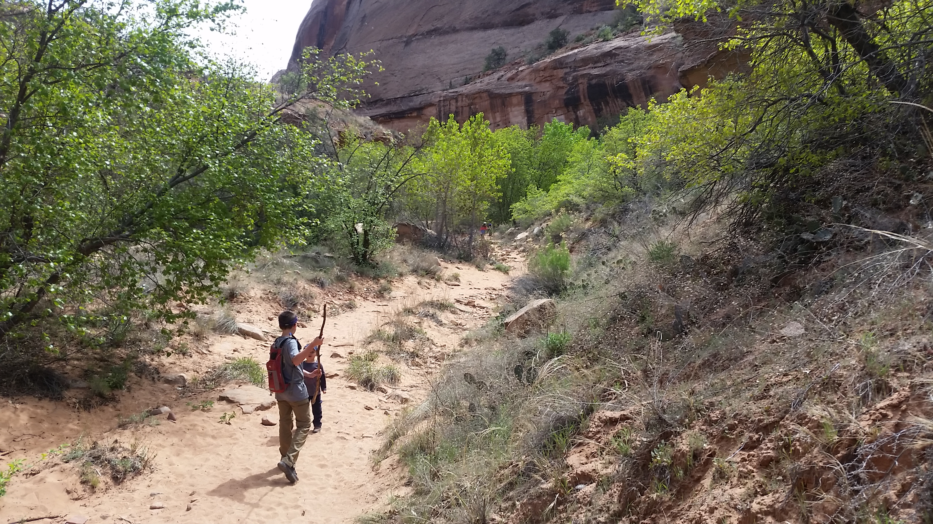 2015 Spring Break - Moab - Morning Glory Bridge (Negro Bill Canyon Trail)