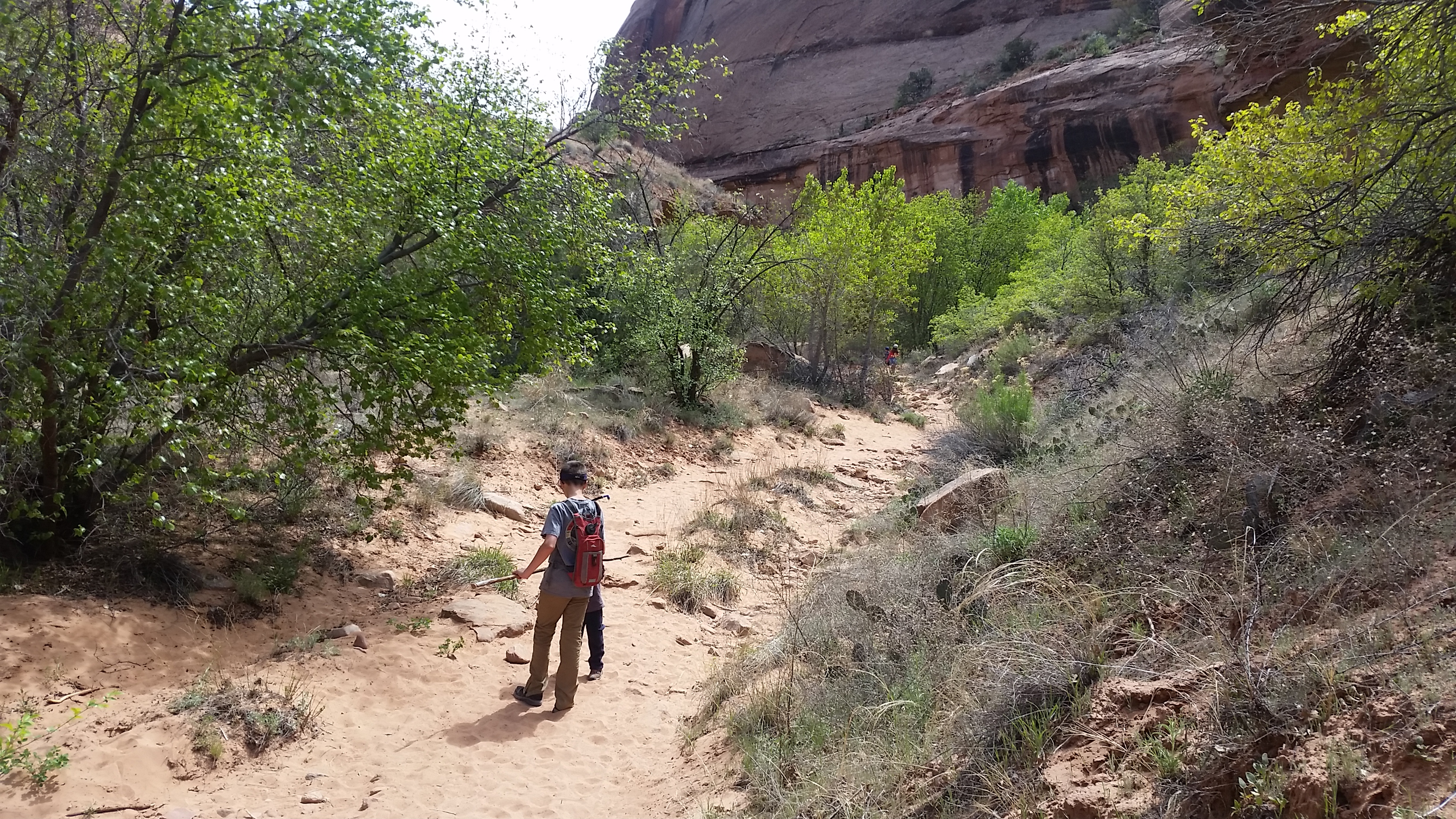 2015 Spring Break - Moab - Morning Glory Bridge (Negro Bill Canyon Trail)