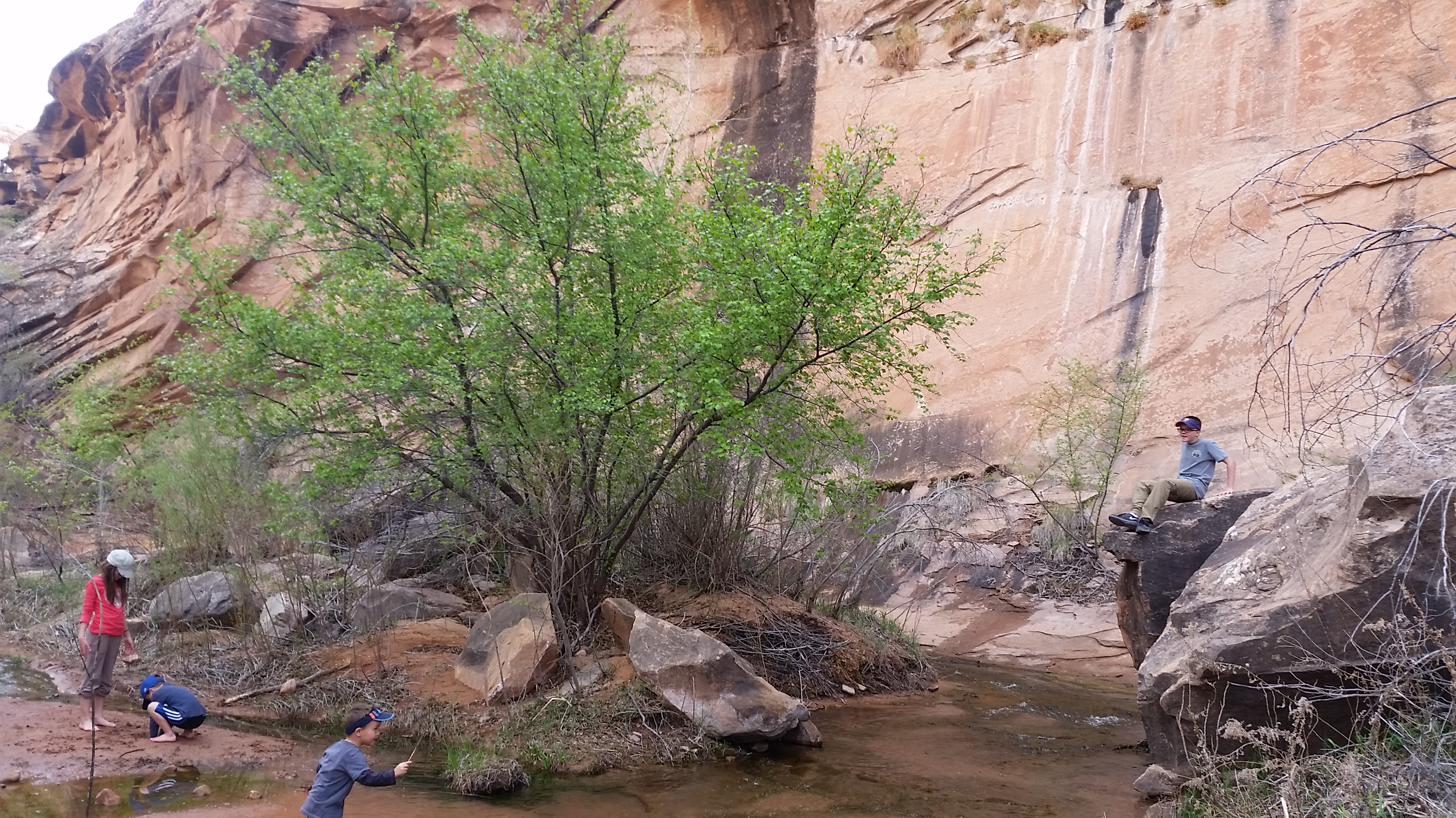 2015 Spring Break - Moab - Morning Glory Bridge (Negro Bill Canyon Trail)