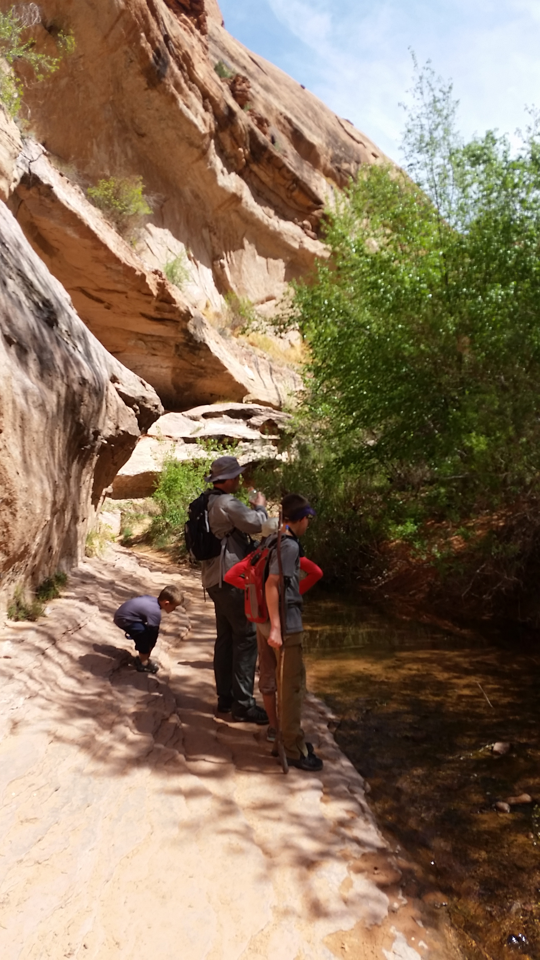 2015 Spring Break - Moab - Morning Glory Bridge (Negro Bill Canyon Trail)