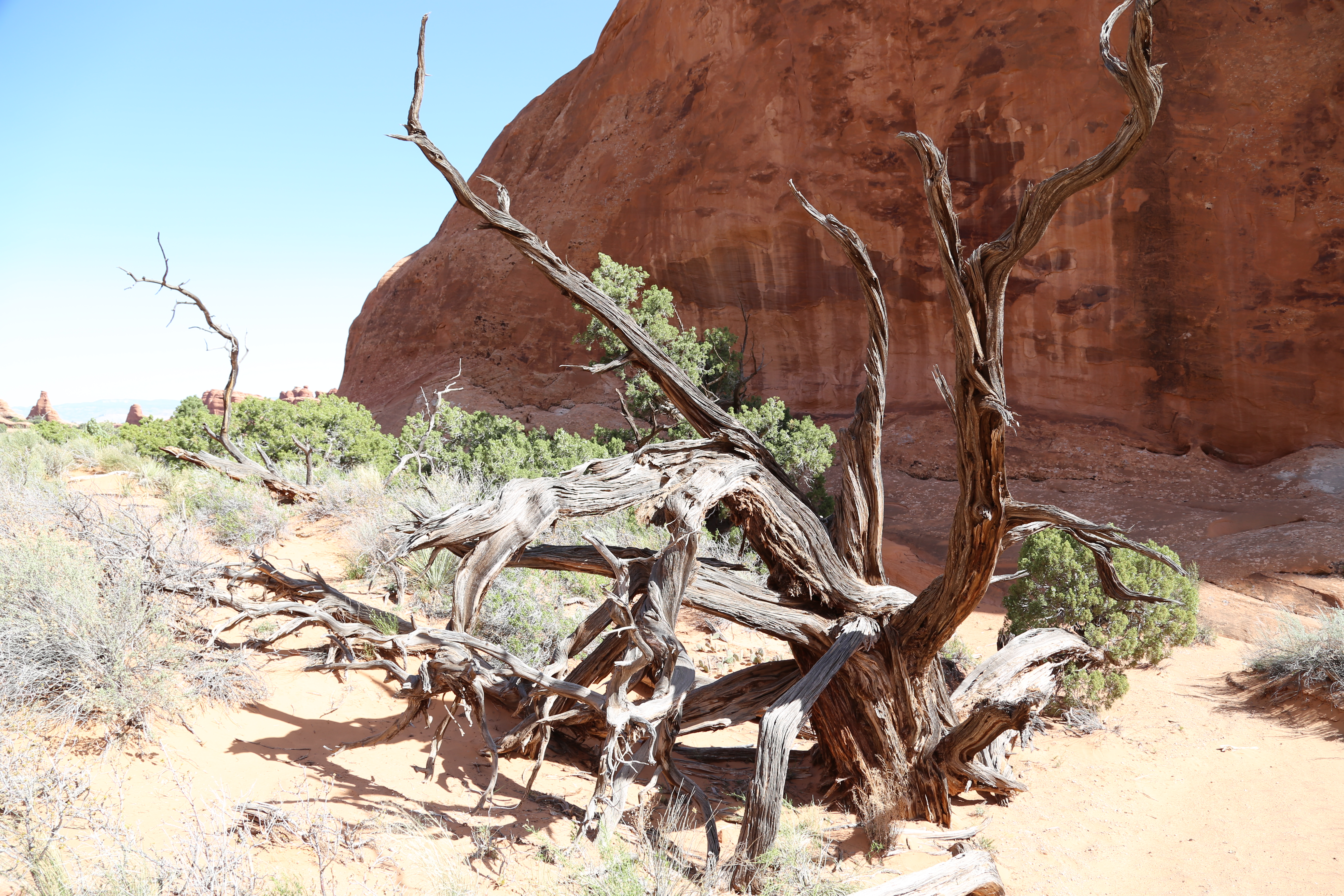 2015 Spring Break - Moab - Scott's Birthday, Landscape Arch in Devil's Garden (Arches National Park)