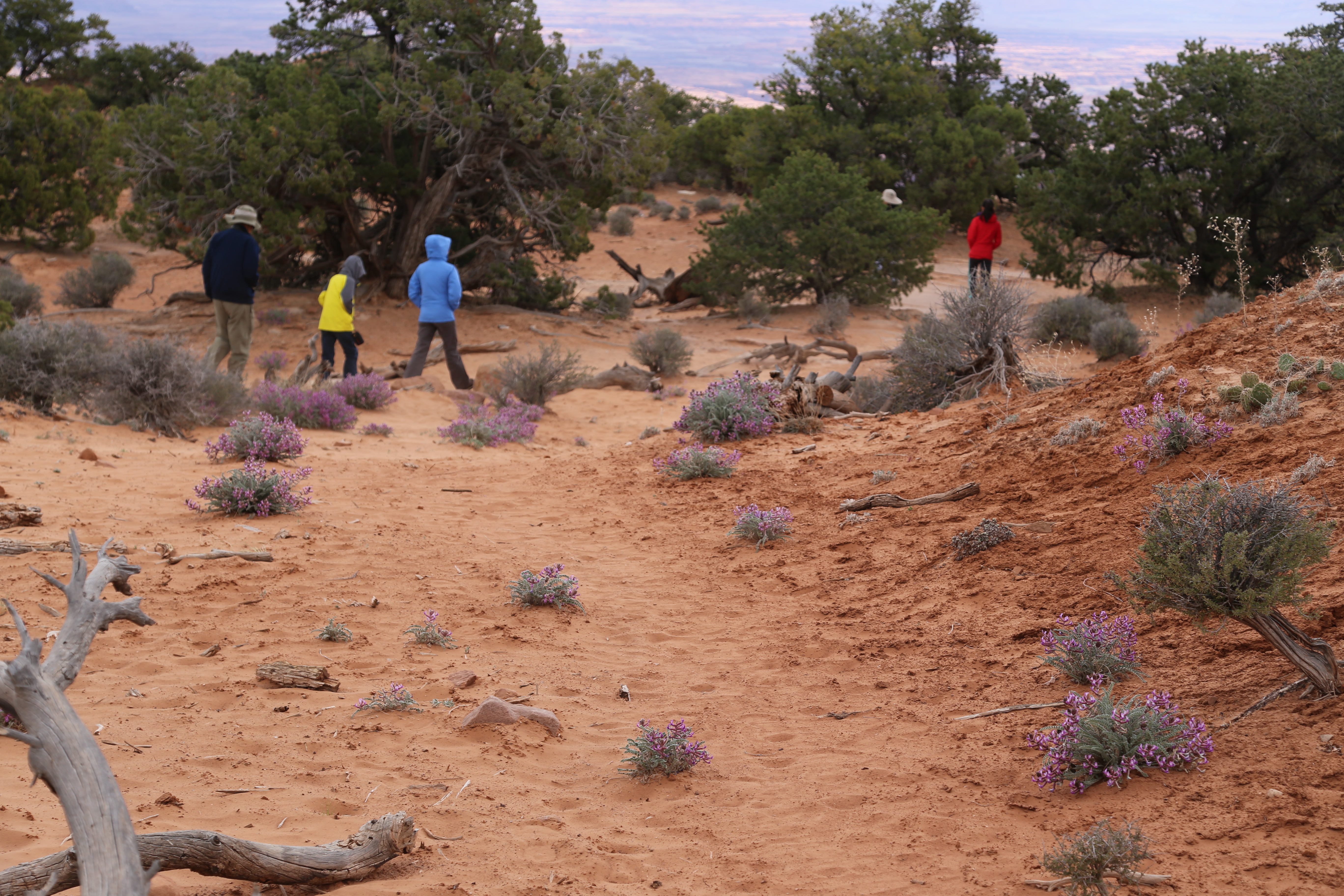 2015 Spring Break - Moab - Canyonlands National Park