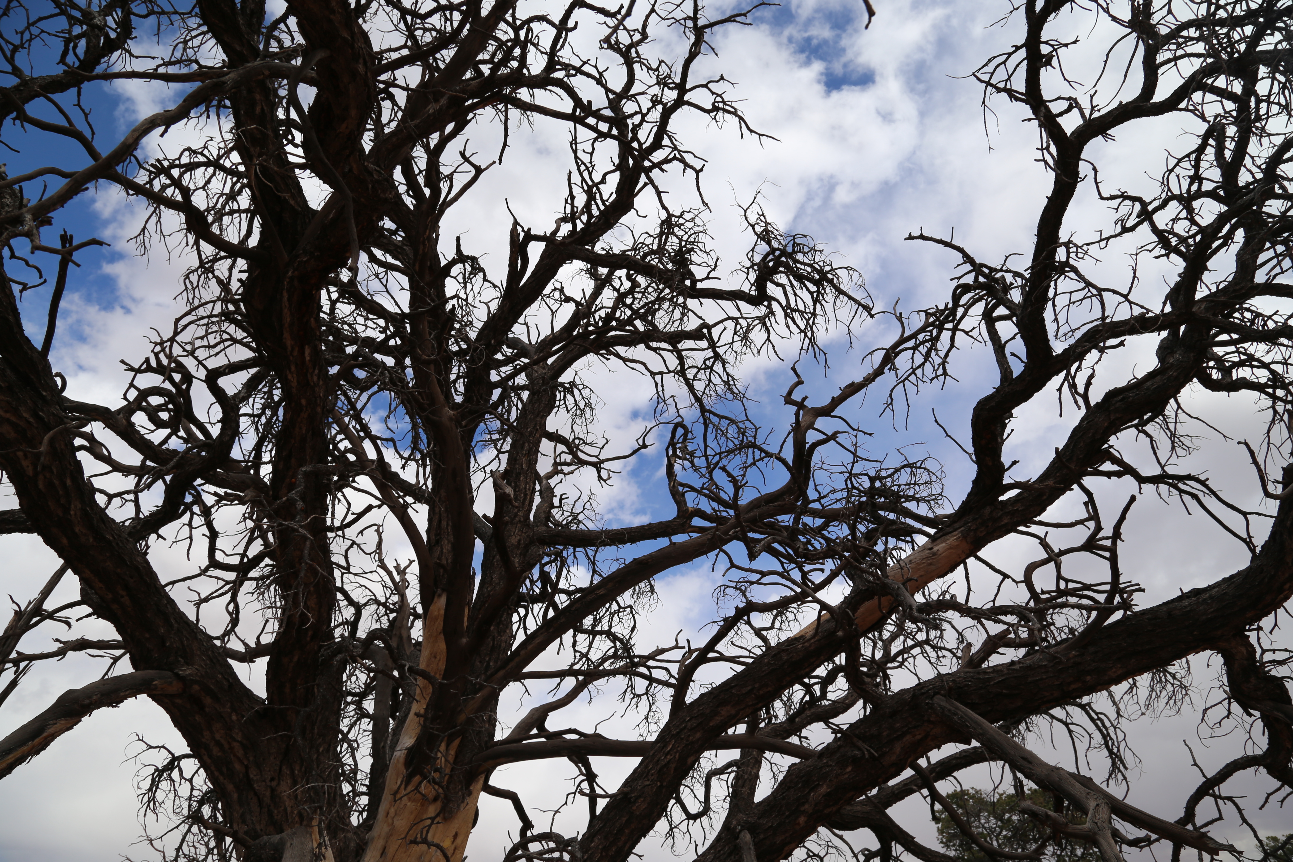 2015 Spring Break - Moab - Canyonlands National Park