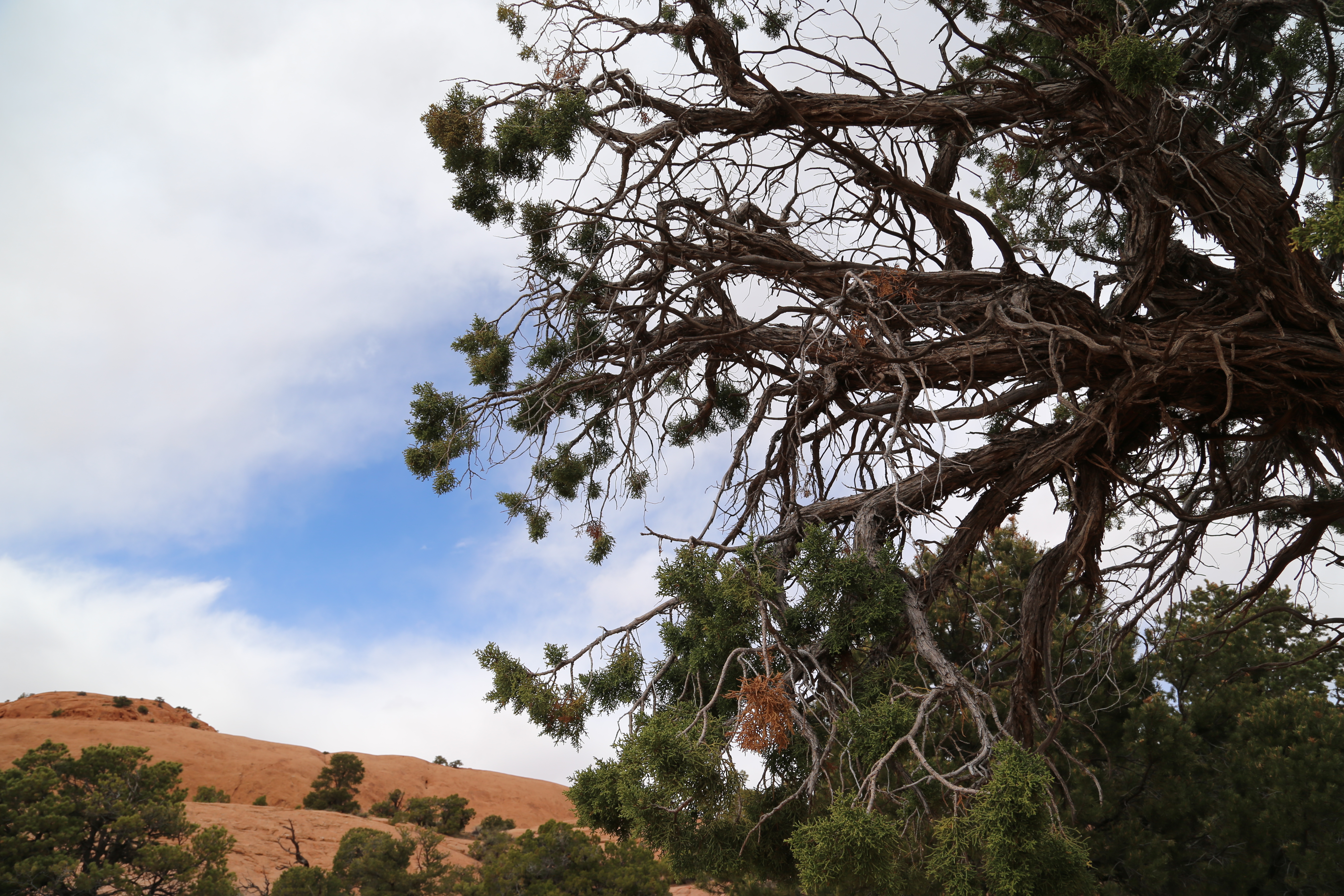 2015 Spring Break - Moab - Canyonlands National Park