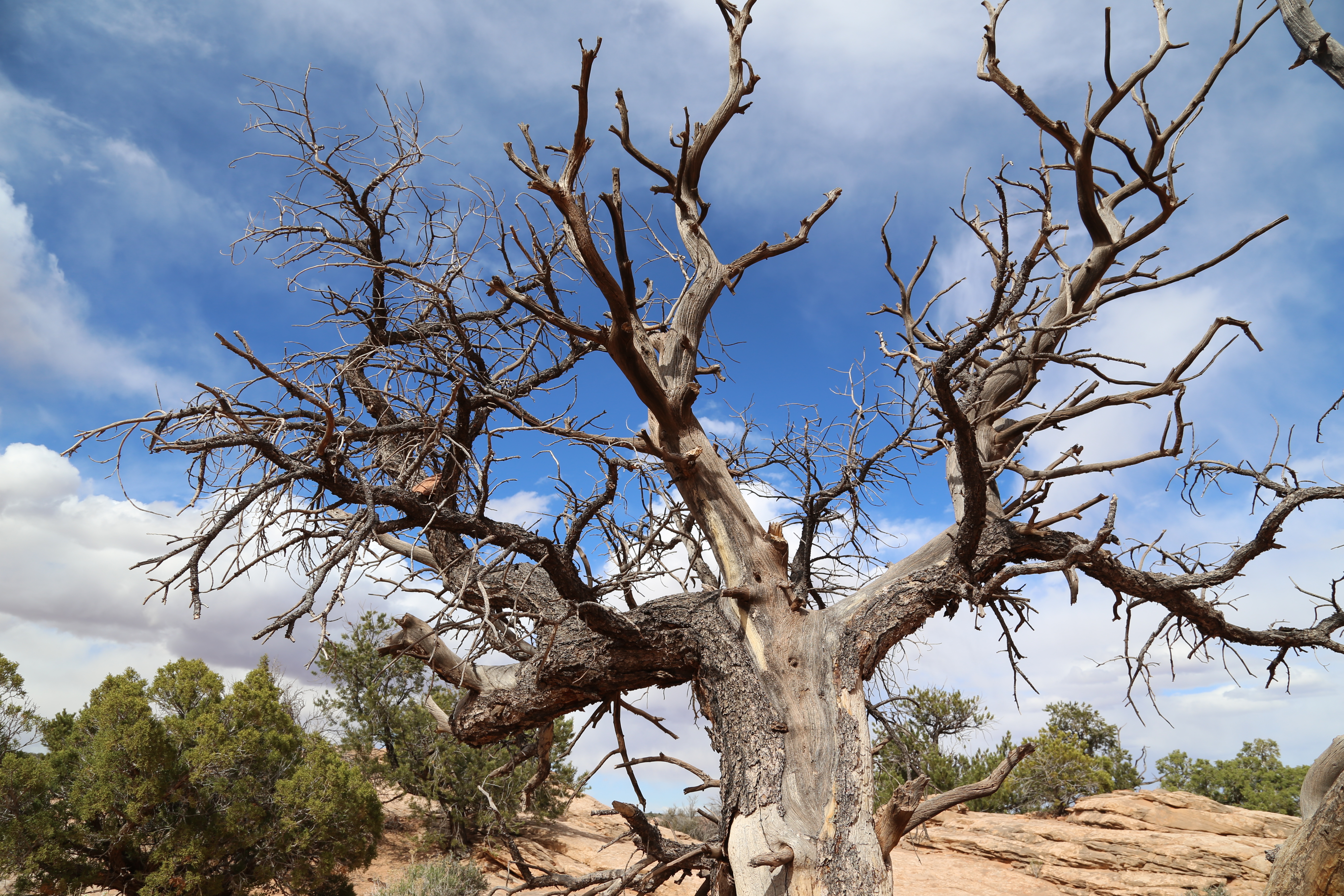 2015 Spring Break - Moab - Canyonlands National Park