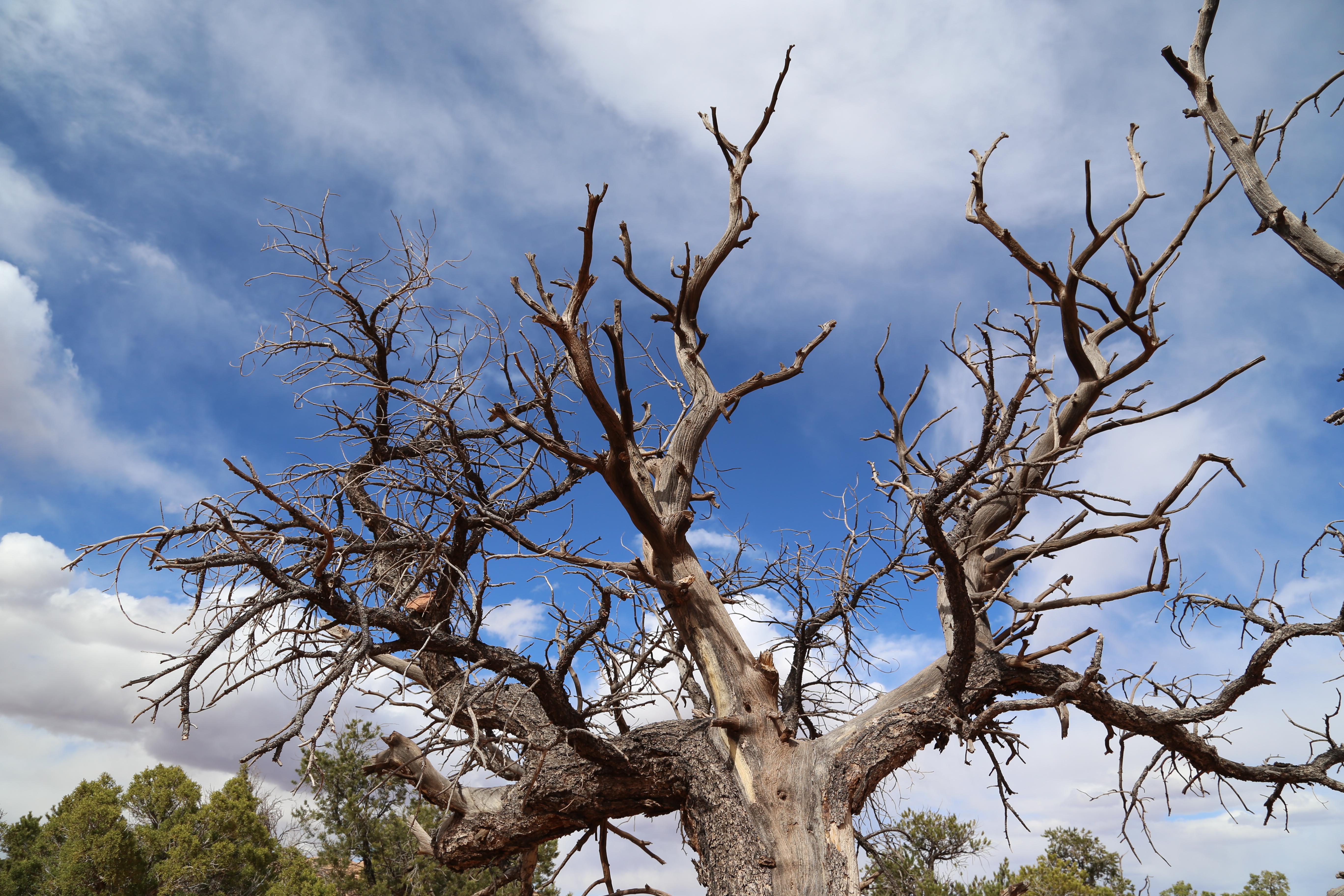 2015 Spring Break - Moab - Canyonlands National Park