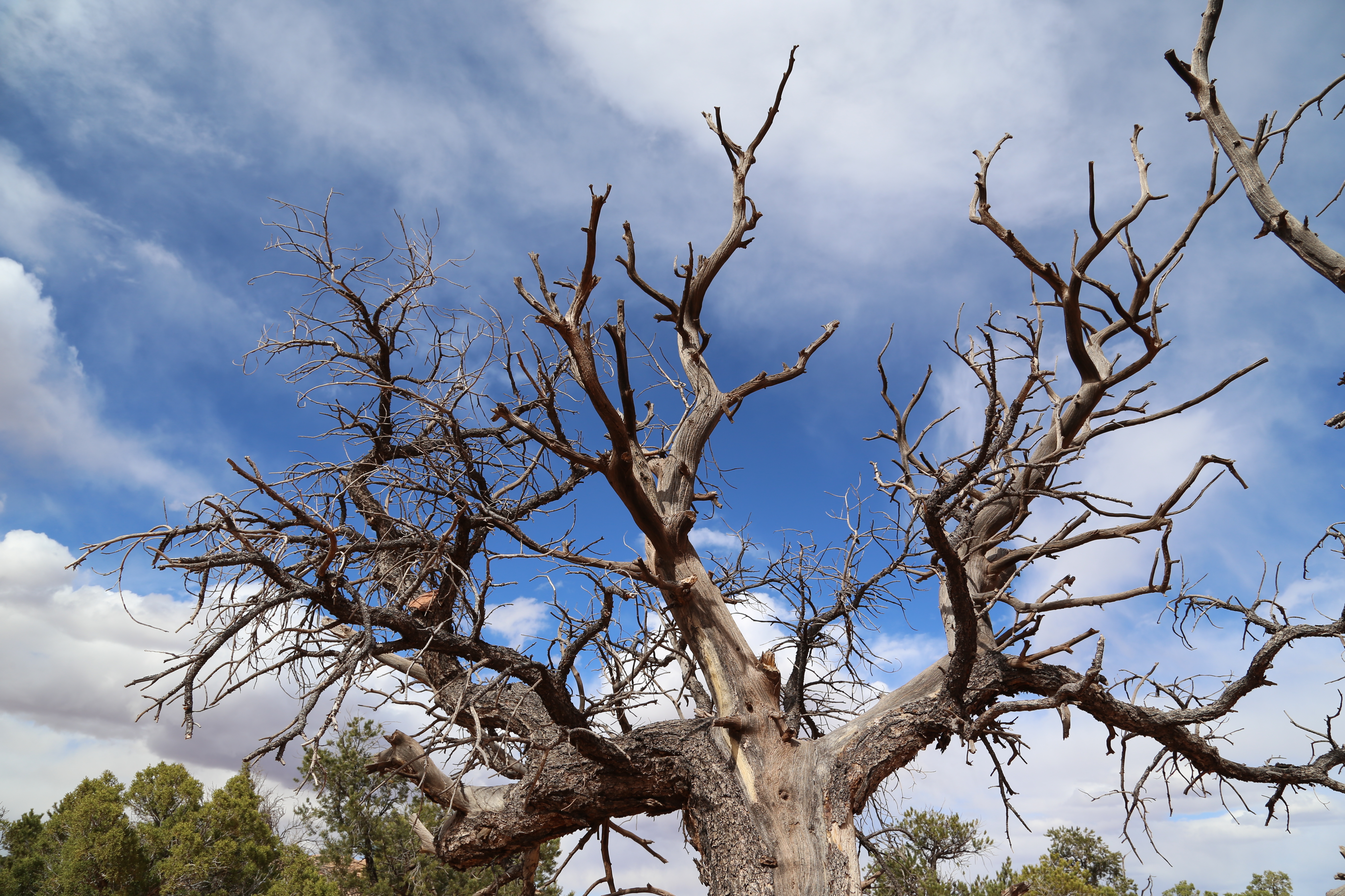 2015 Spring Break - Moab - Canyonlands National Park