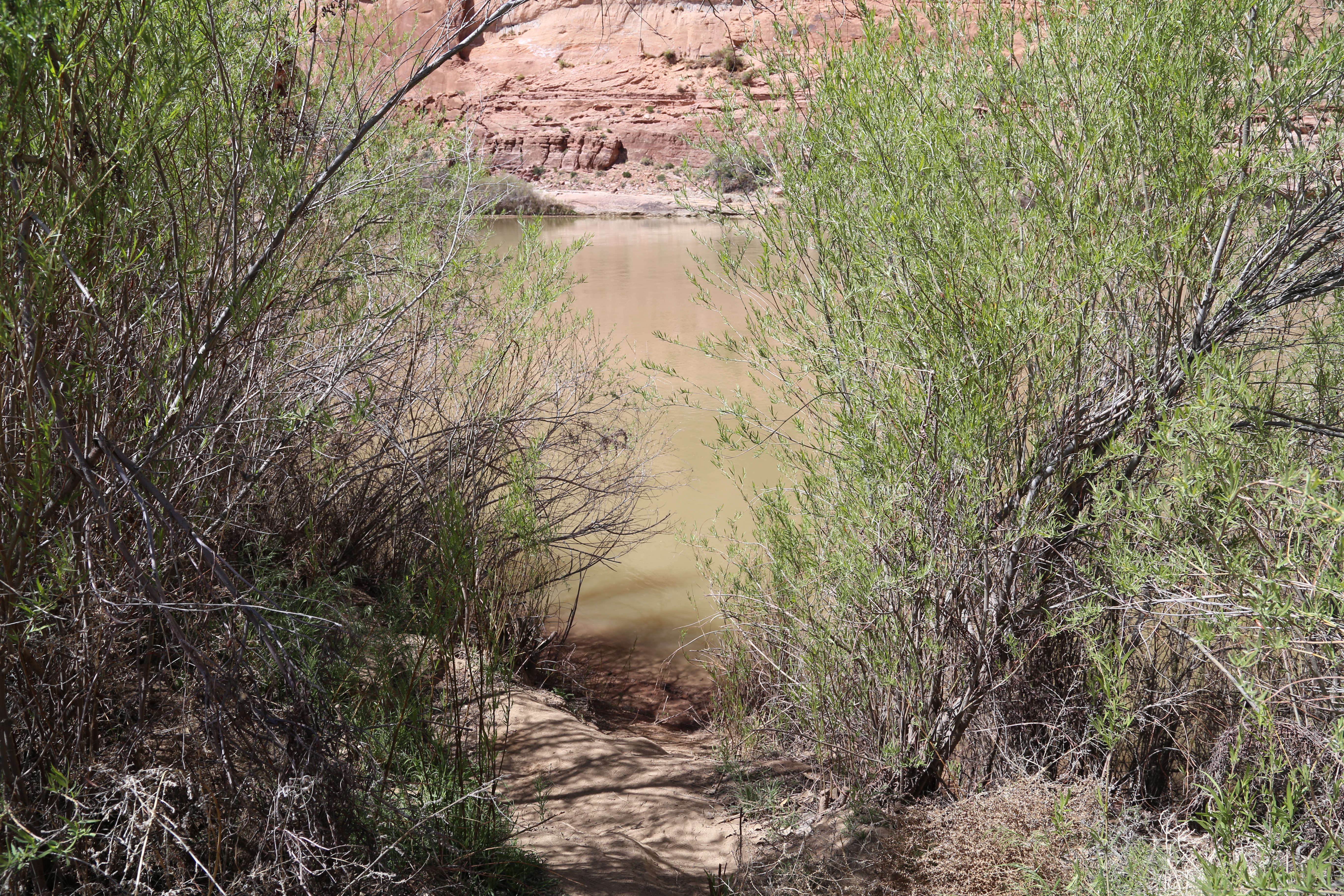 2015 Spring Break - Moab - Morning Glory Bridge (Negro Bill Canyon Trail)