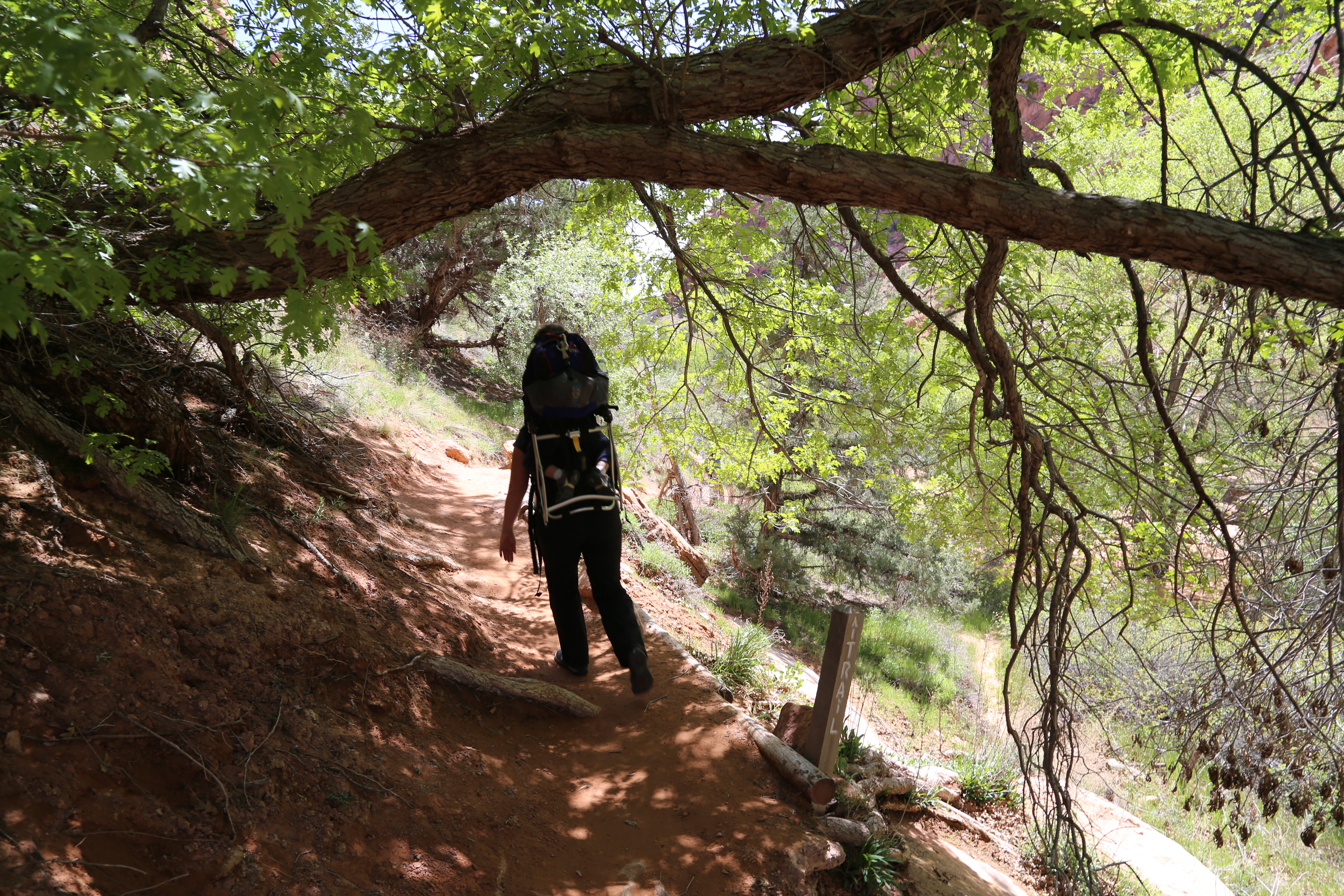 2015 Spring Break - Moab - Morning Glory Bridge (Negro Bill Canyon Trail)