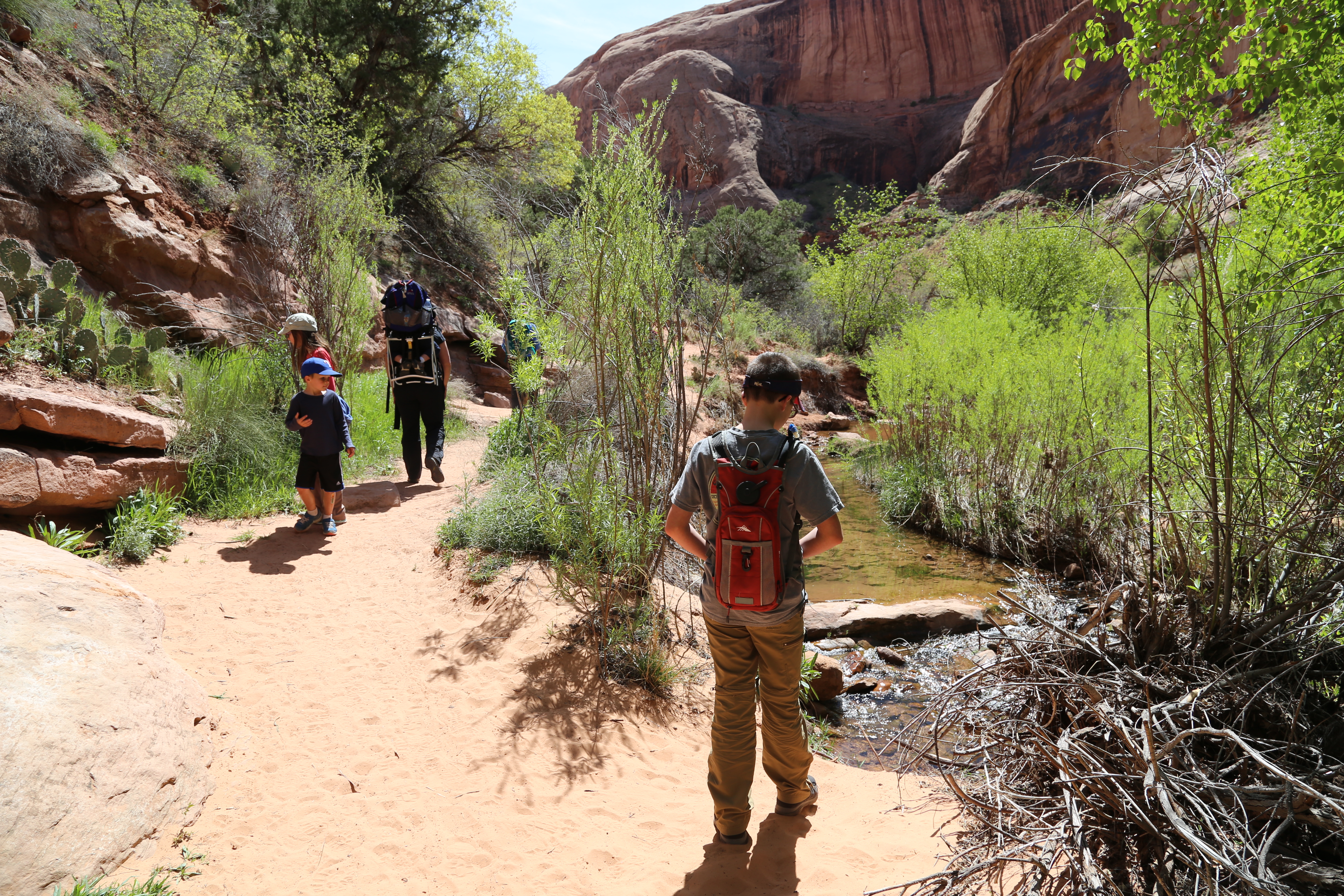 2015 Spring Break - Moab - Morning Glory Bridge (Negro Bill Canyon Trail)