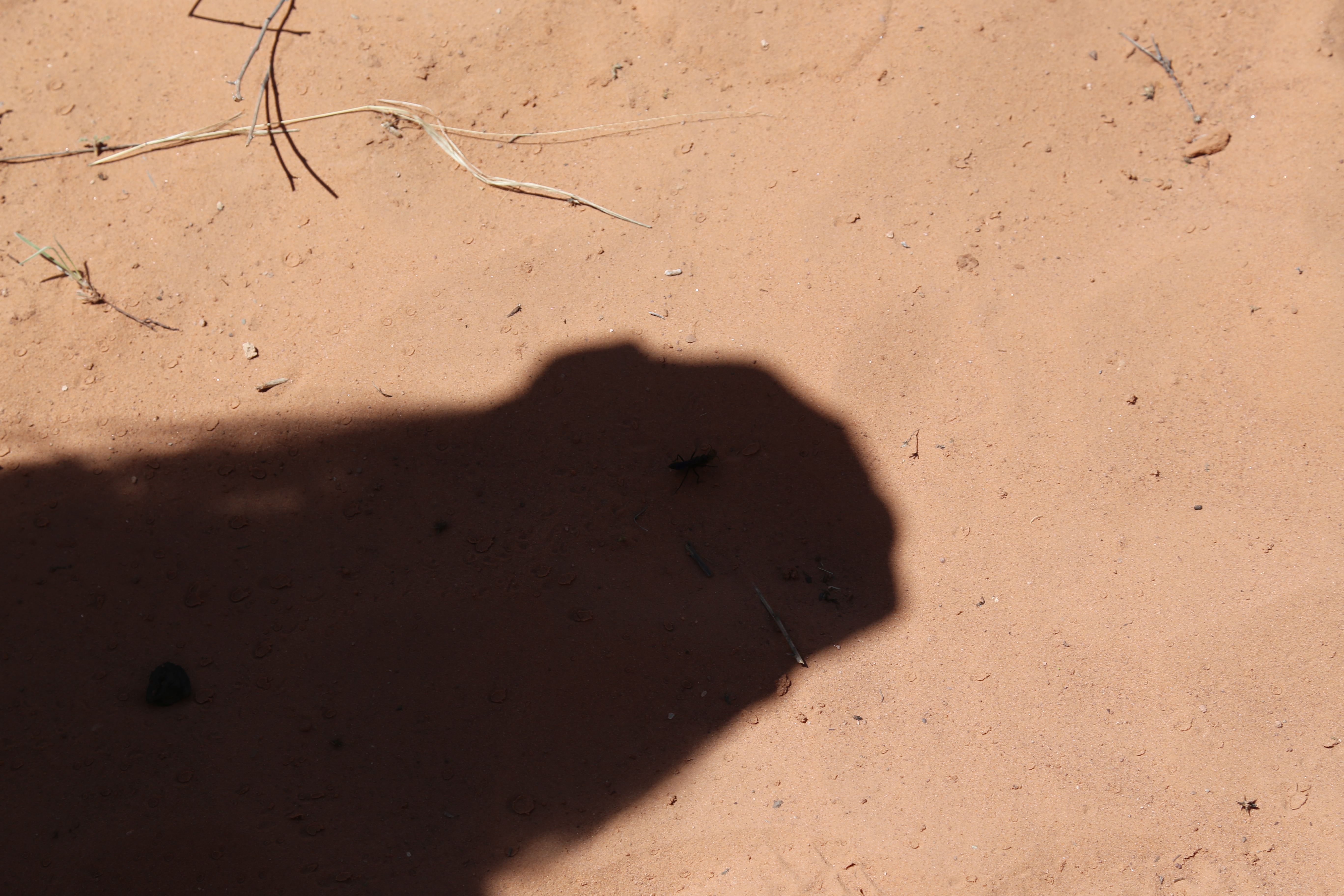 2015 Spring Break - Moab - Morning Glory Bridge (Negro Bill Canyon Trail)