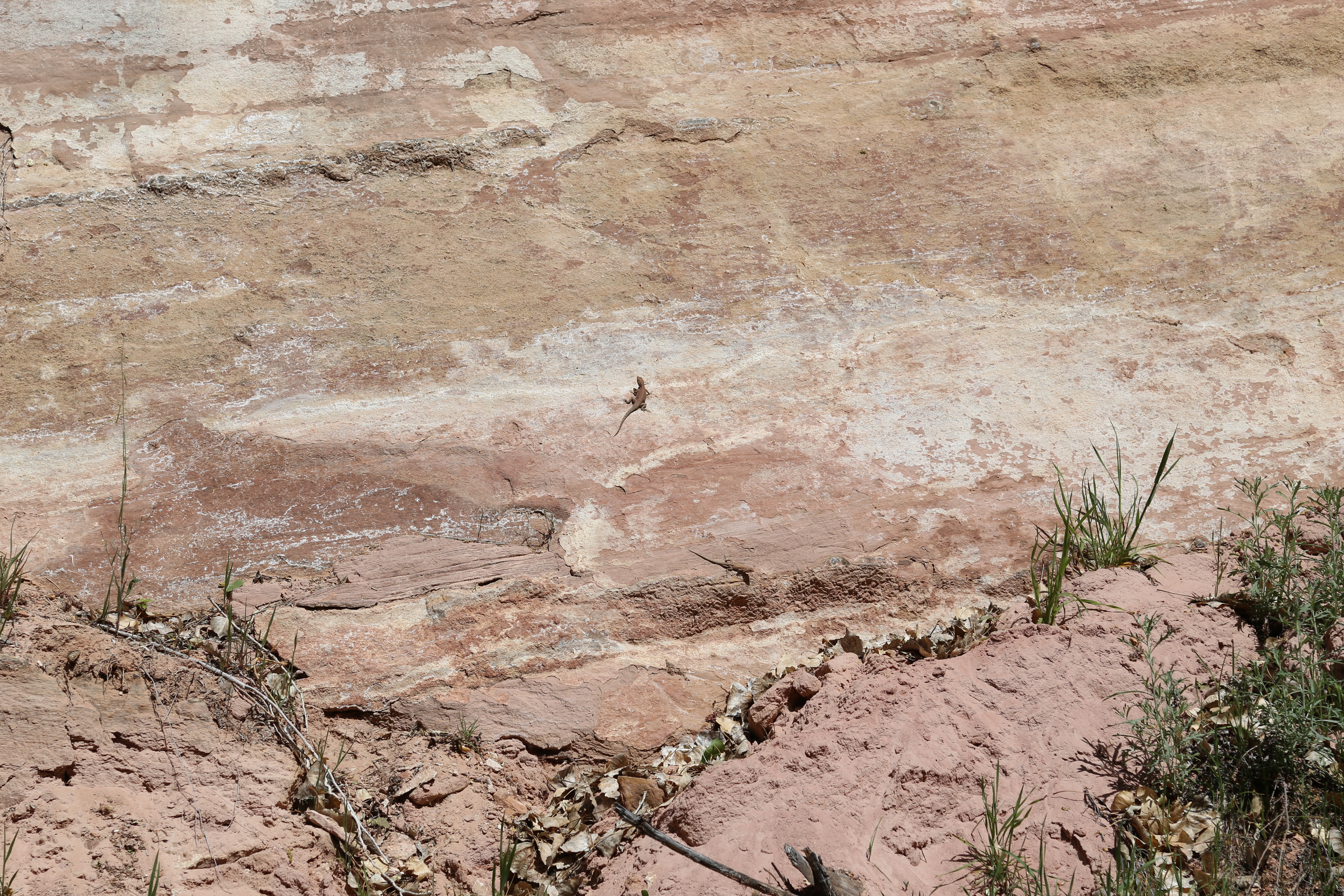 2015 Spring Break - Moab - Morning Glory Bridge (Negro Bill Canyon Trail)