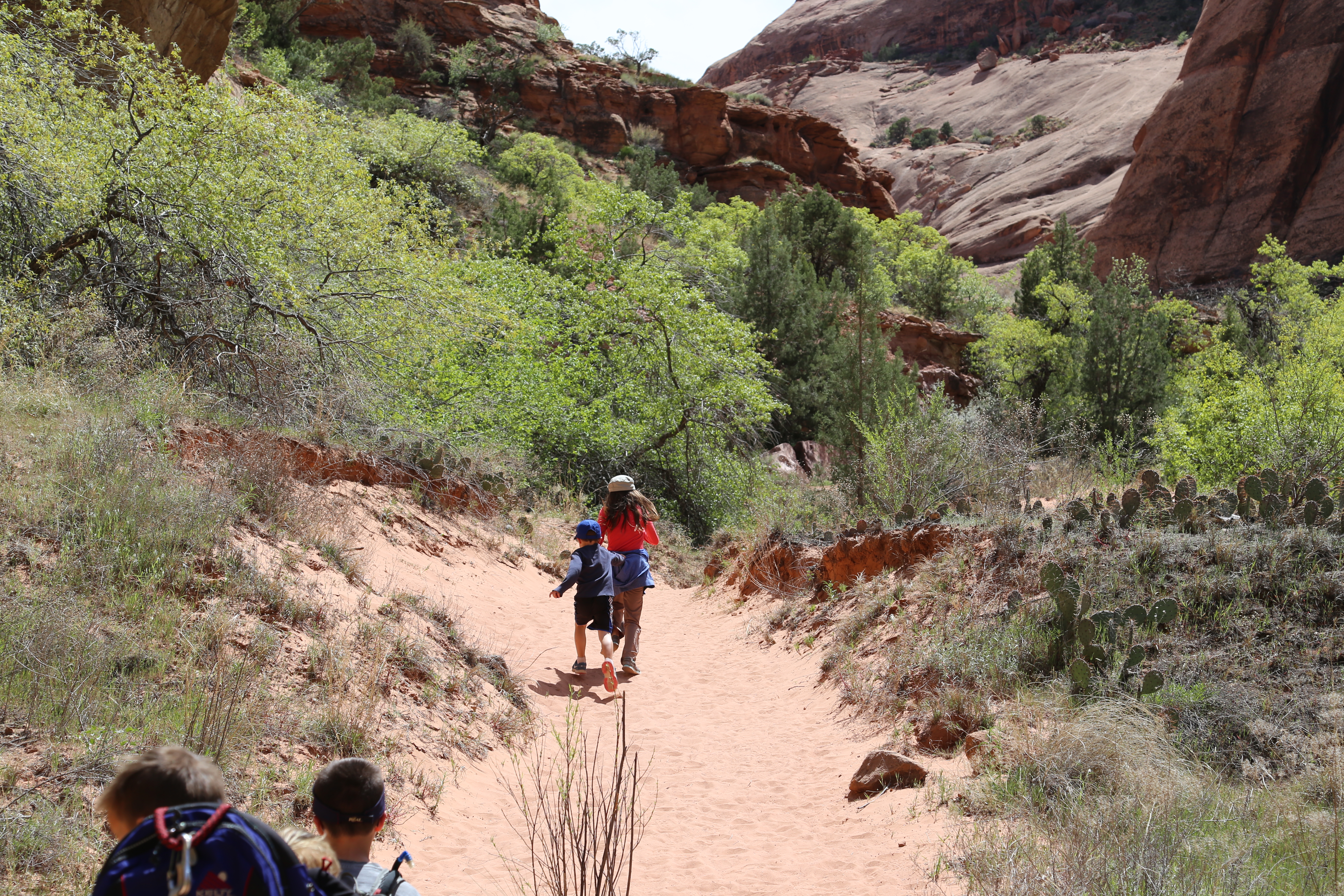 2015 Spring Break - Moab - Morning Glory Bridge (Negro Bill Canyon Trail)